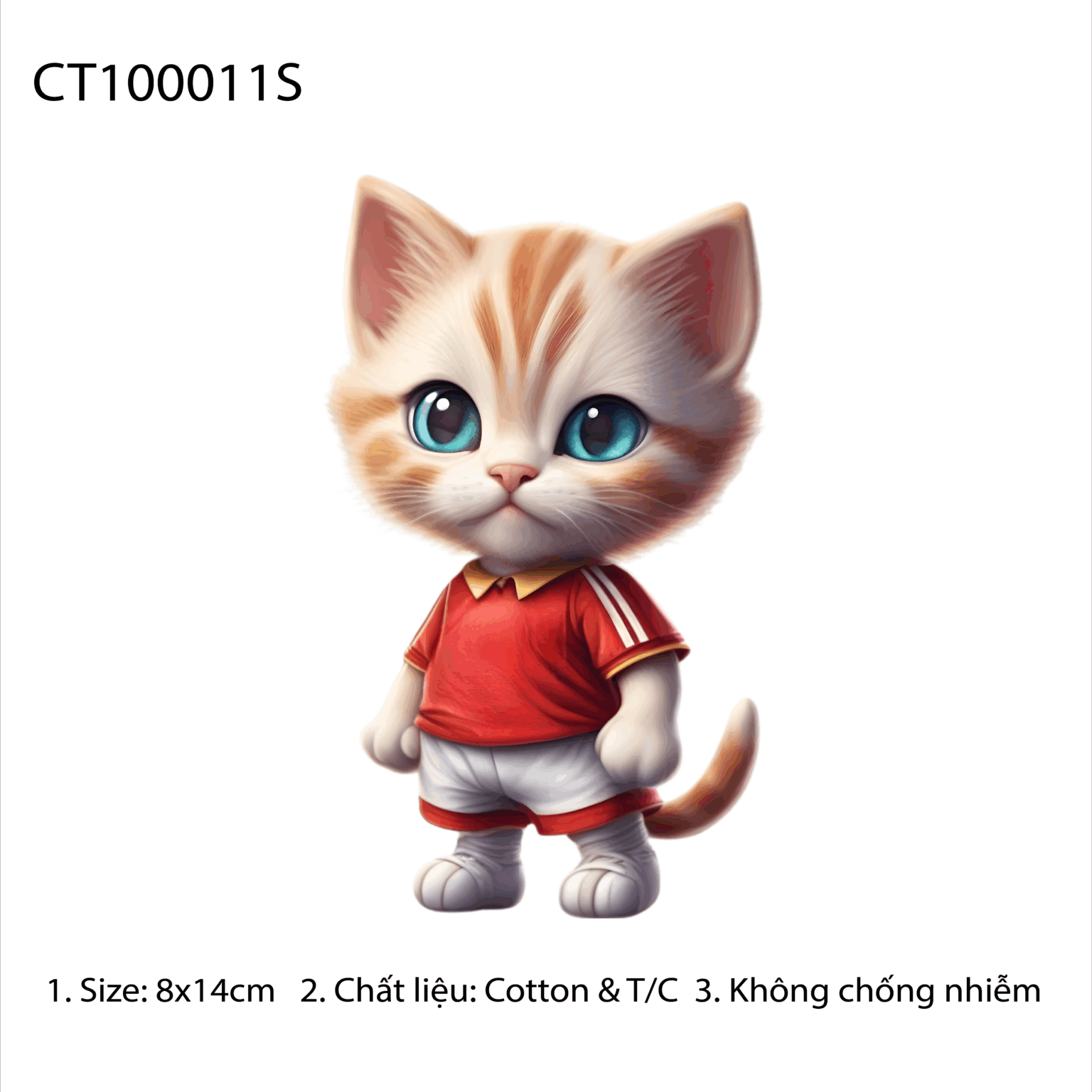CT100011S