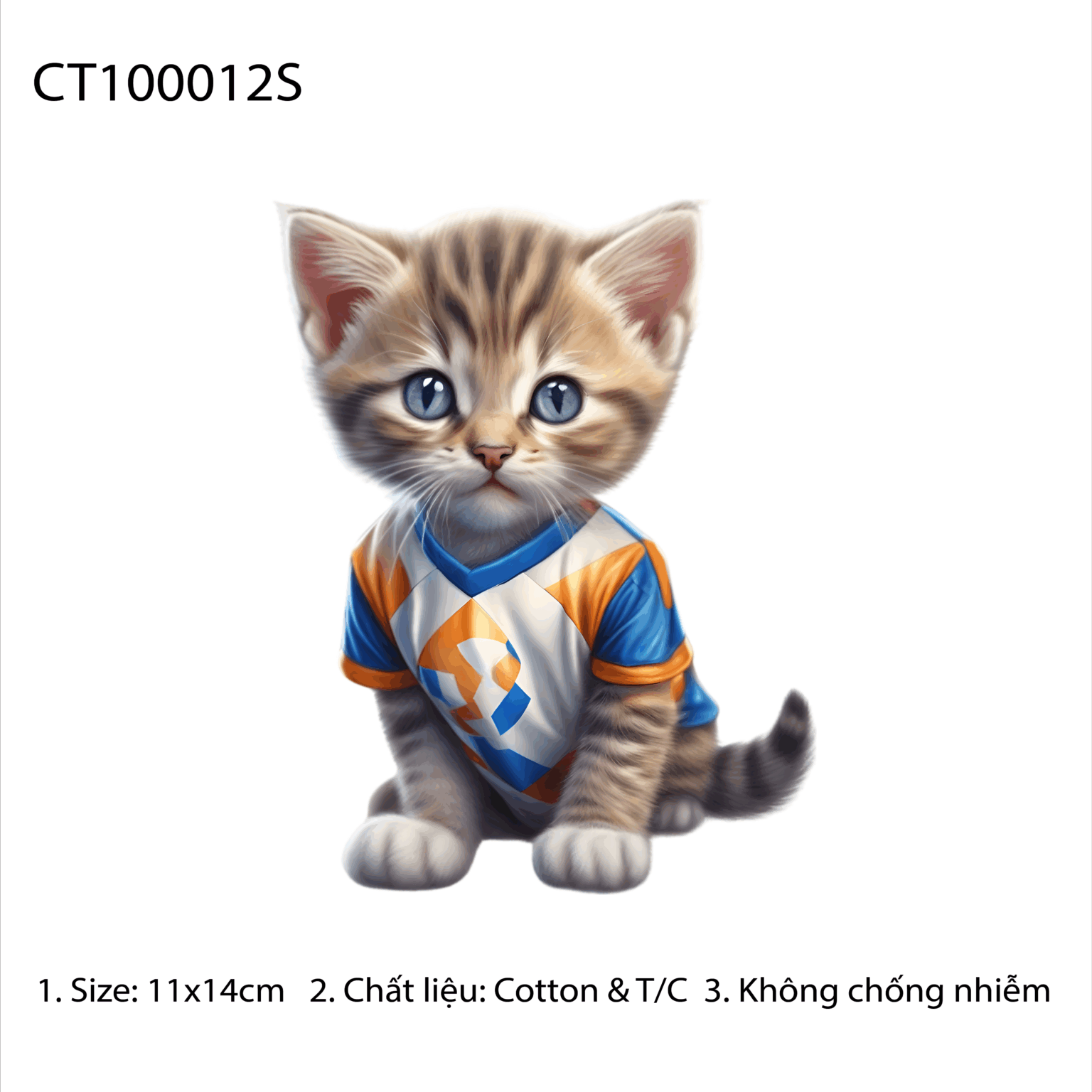 CT100012S