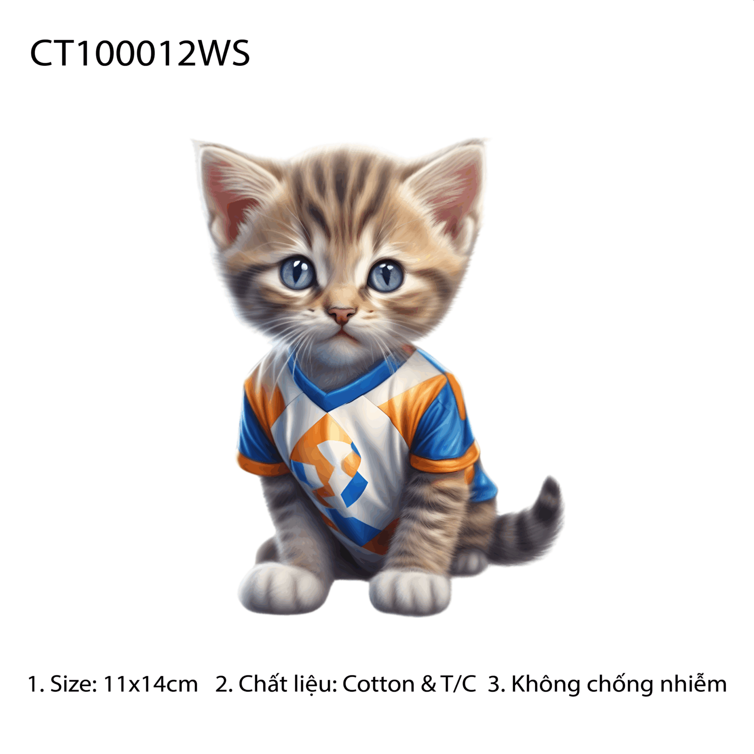 CT100012WS