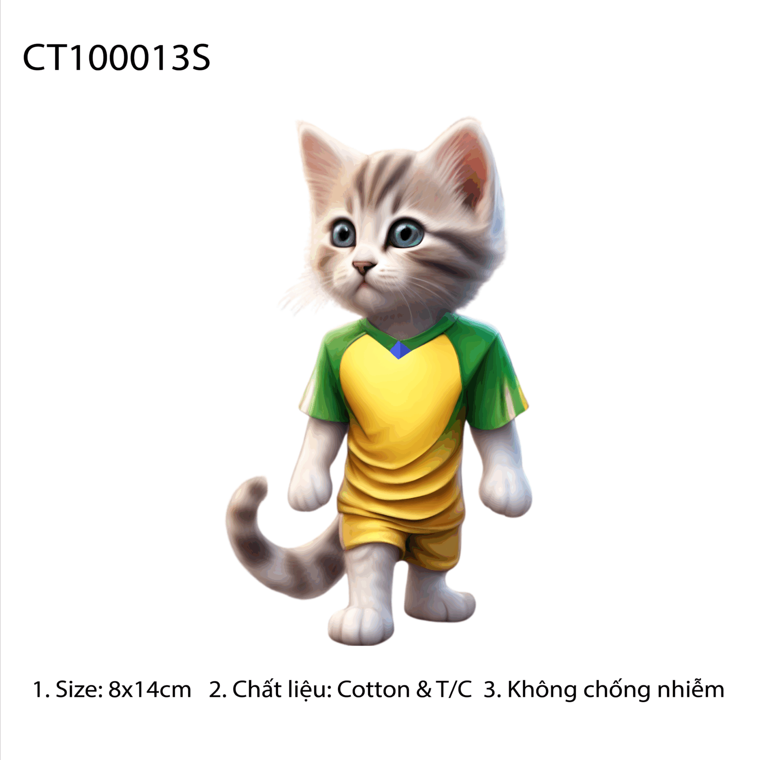 CT100013S