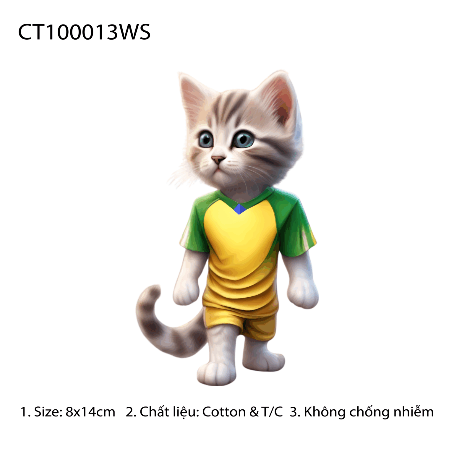 CT100013WS