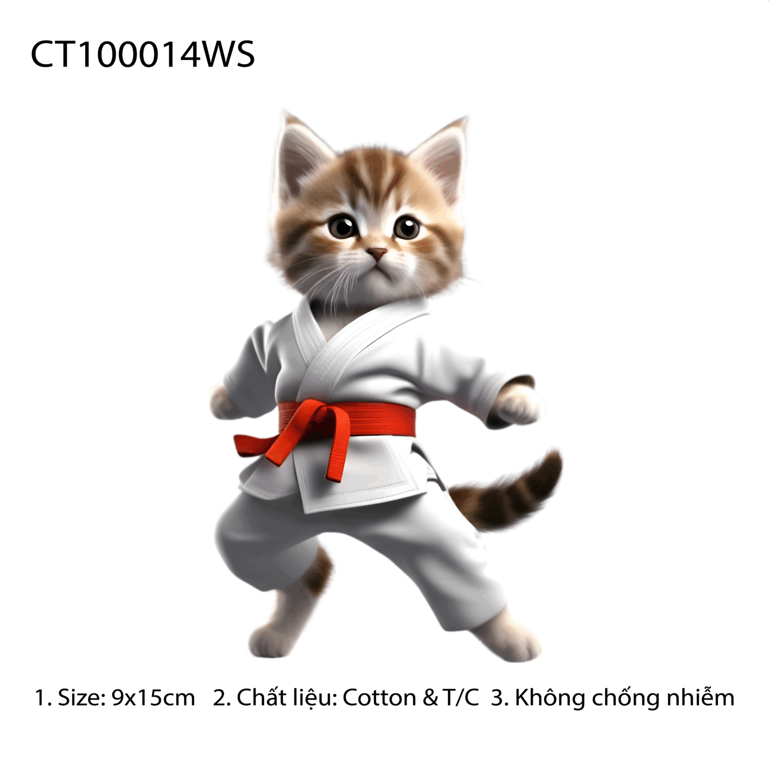 CT100014WS