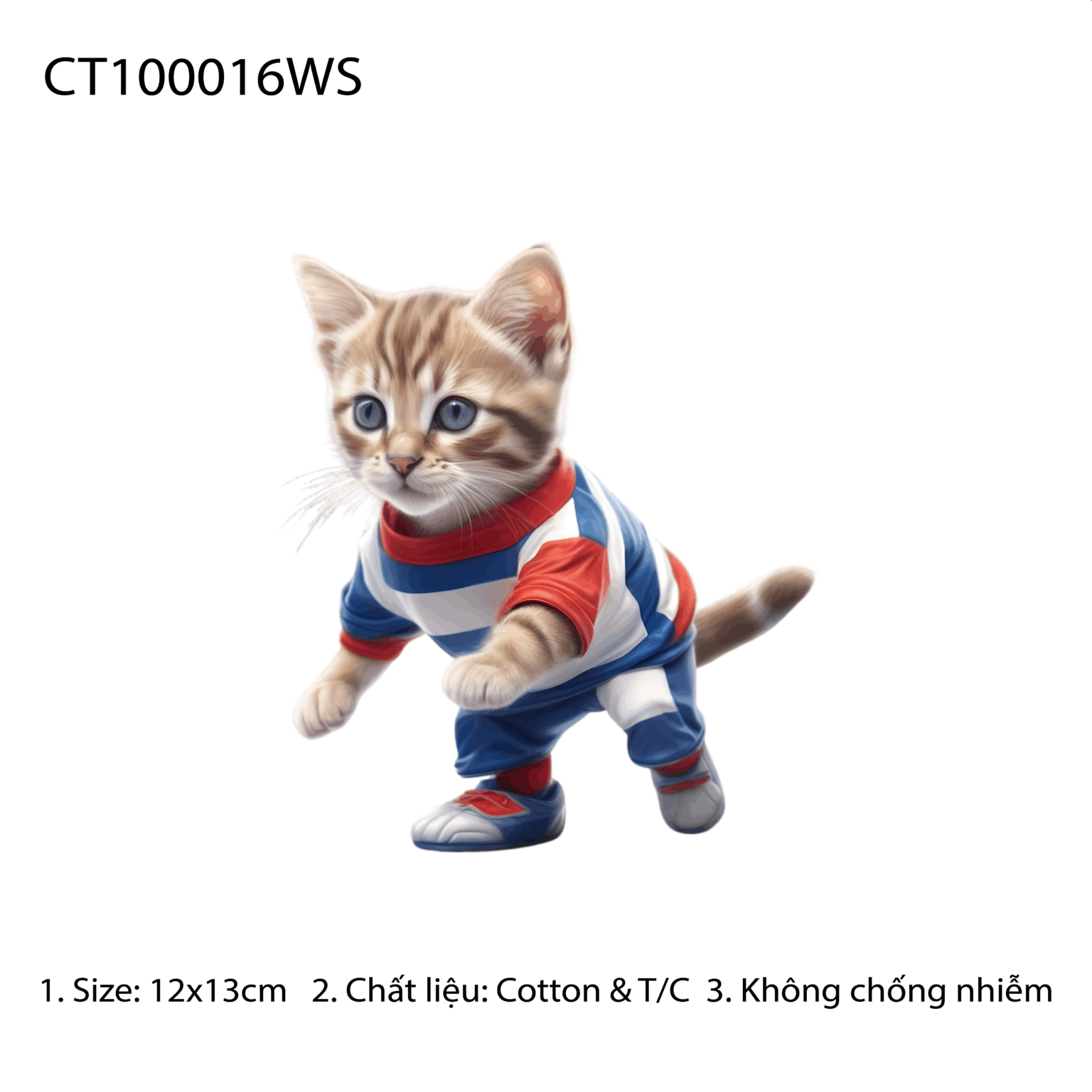 CT100016WS