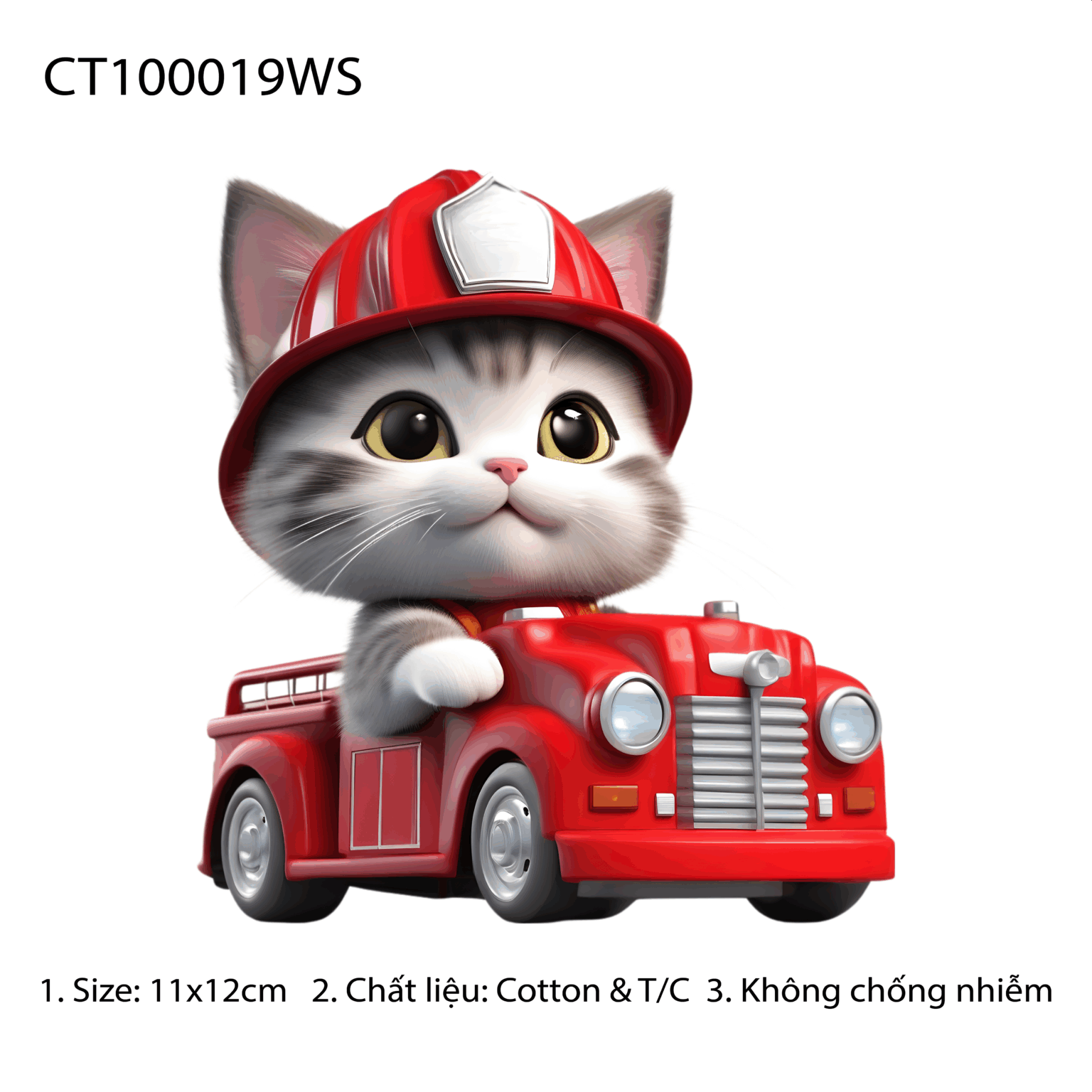 CT100019WS