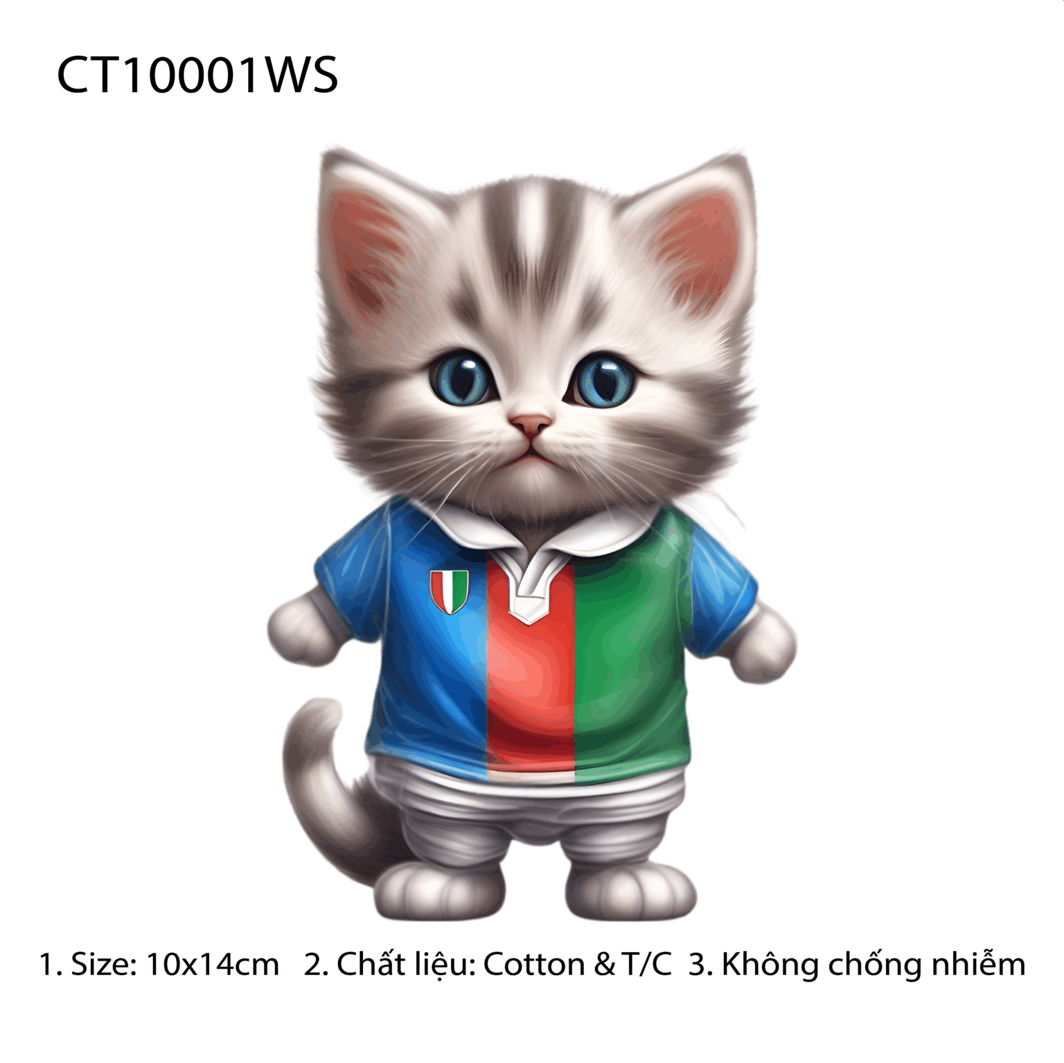 CT10001WS