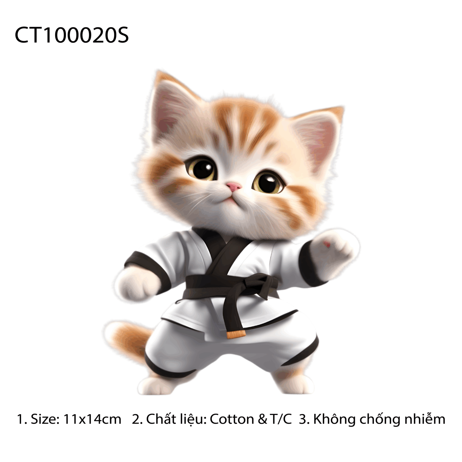CT100020S