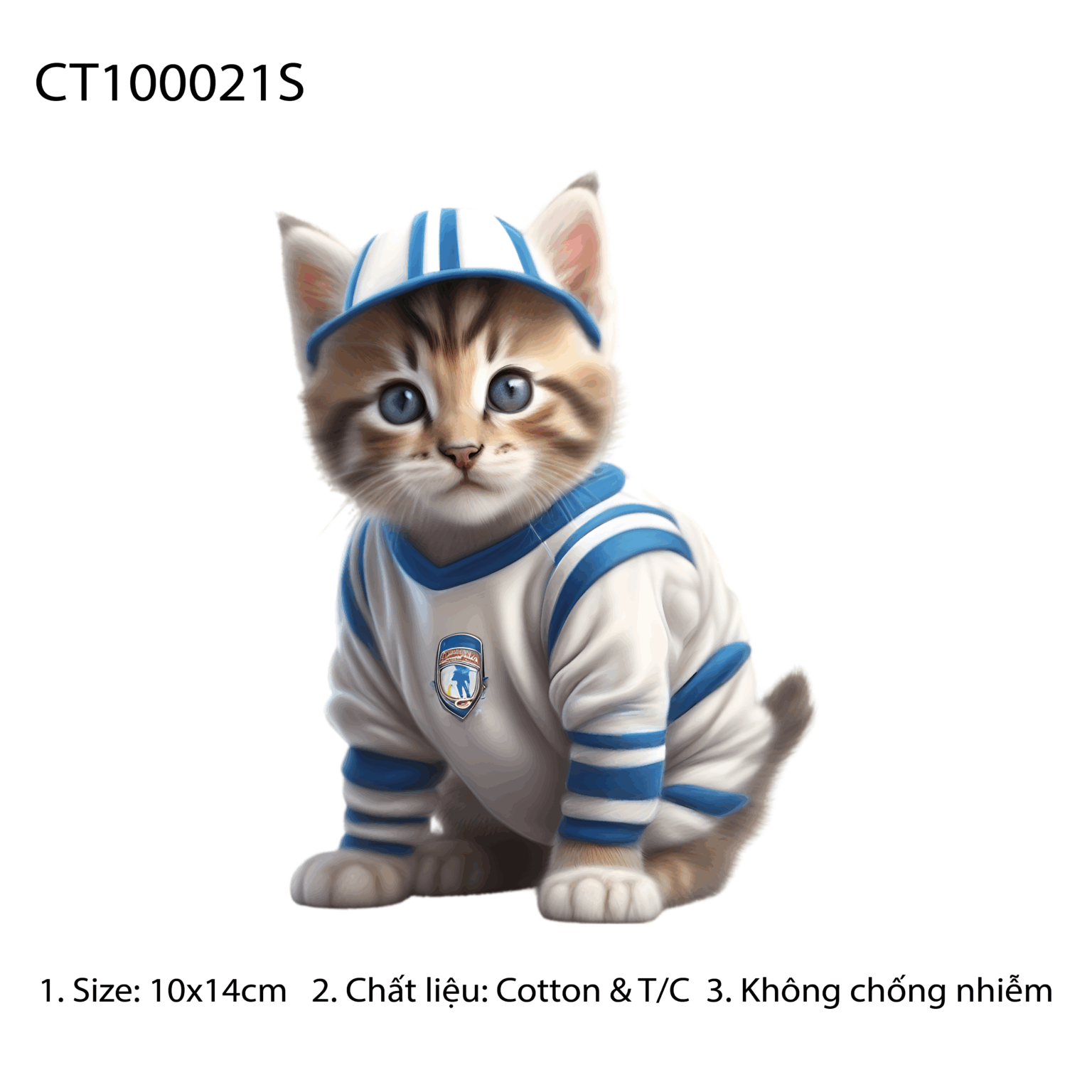 CT100021S