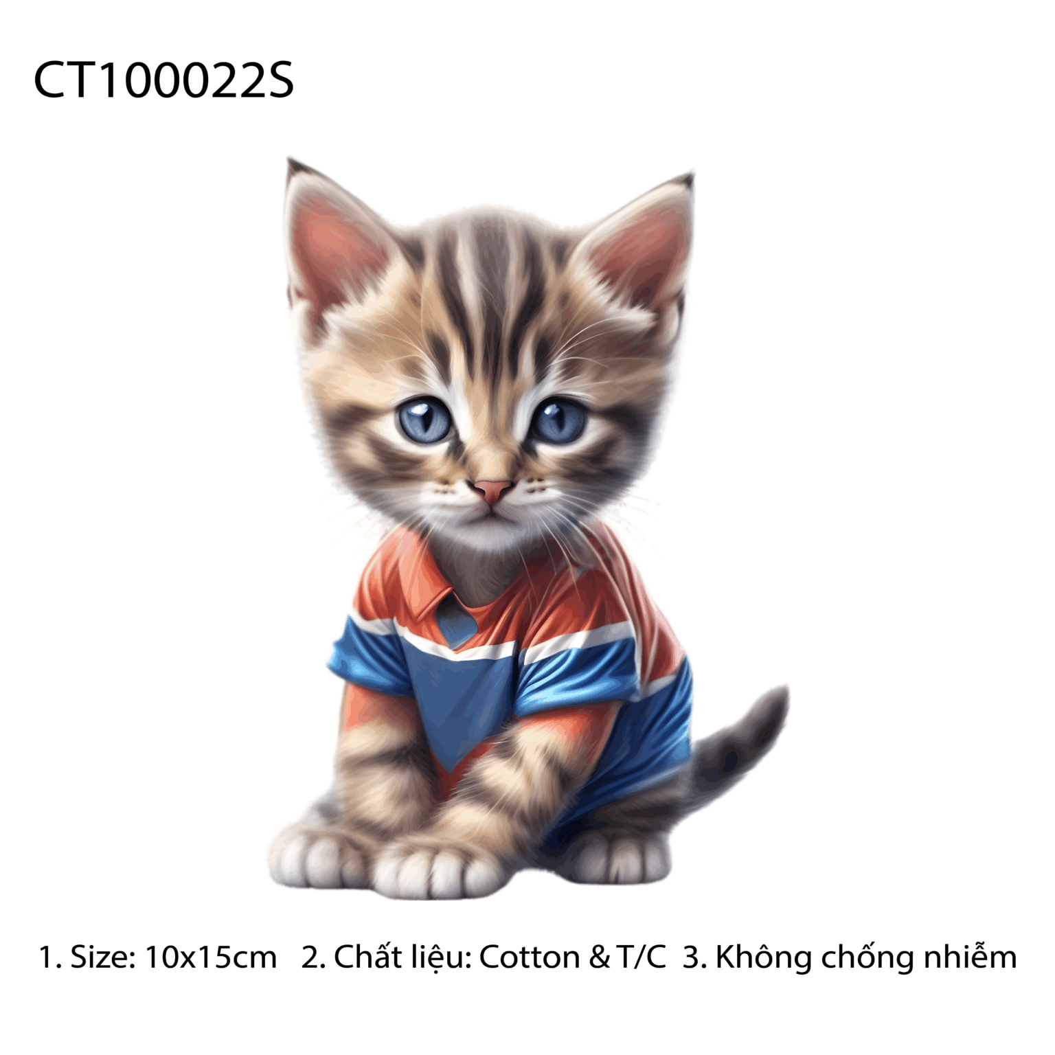 CT100022S