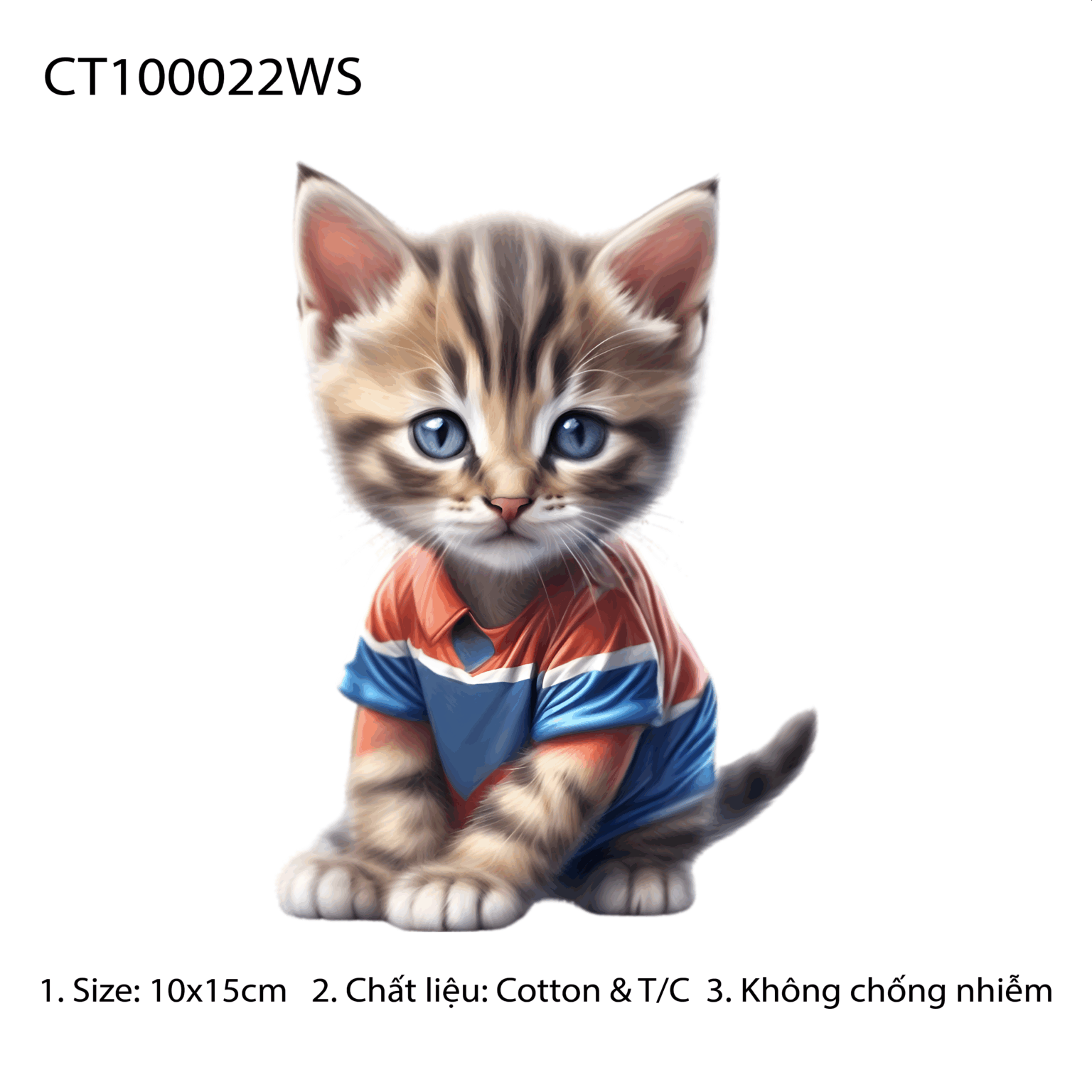CT100022WS