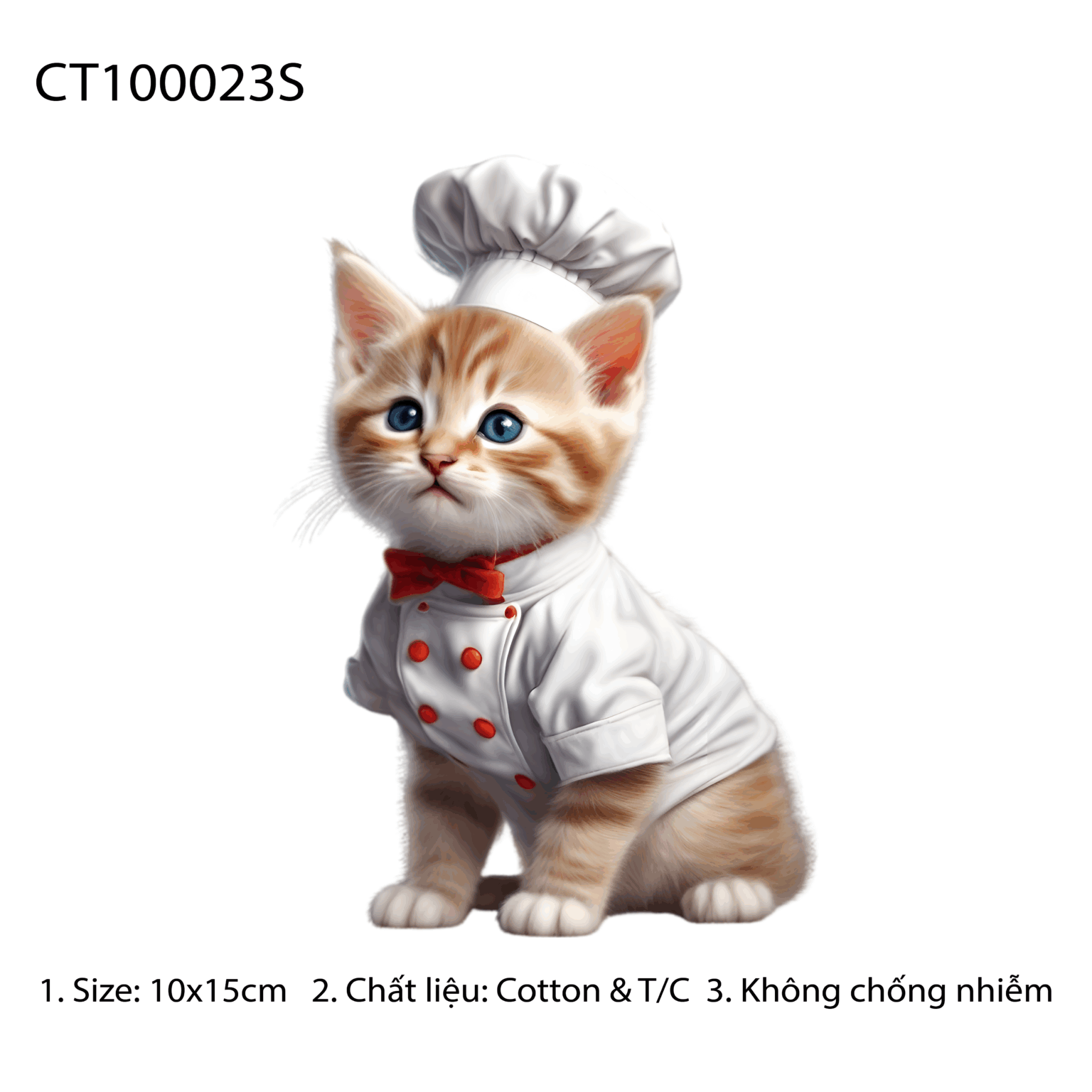 CT100023S