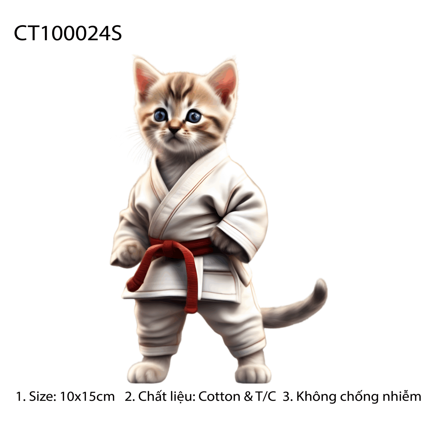 CT100024S