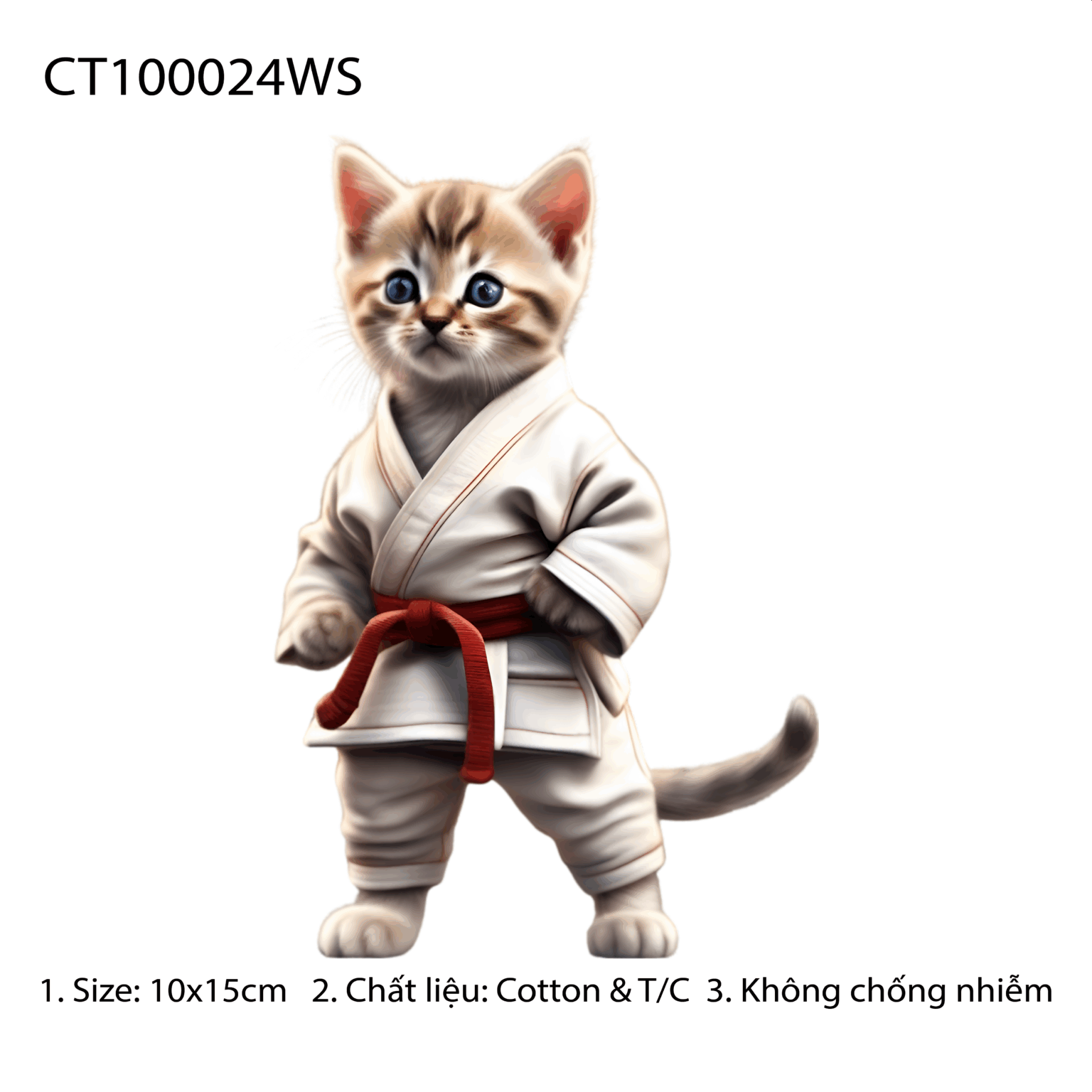 CT100024WS