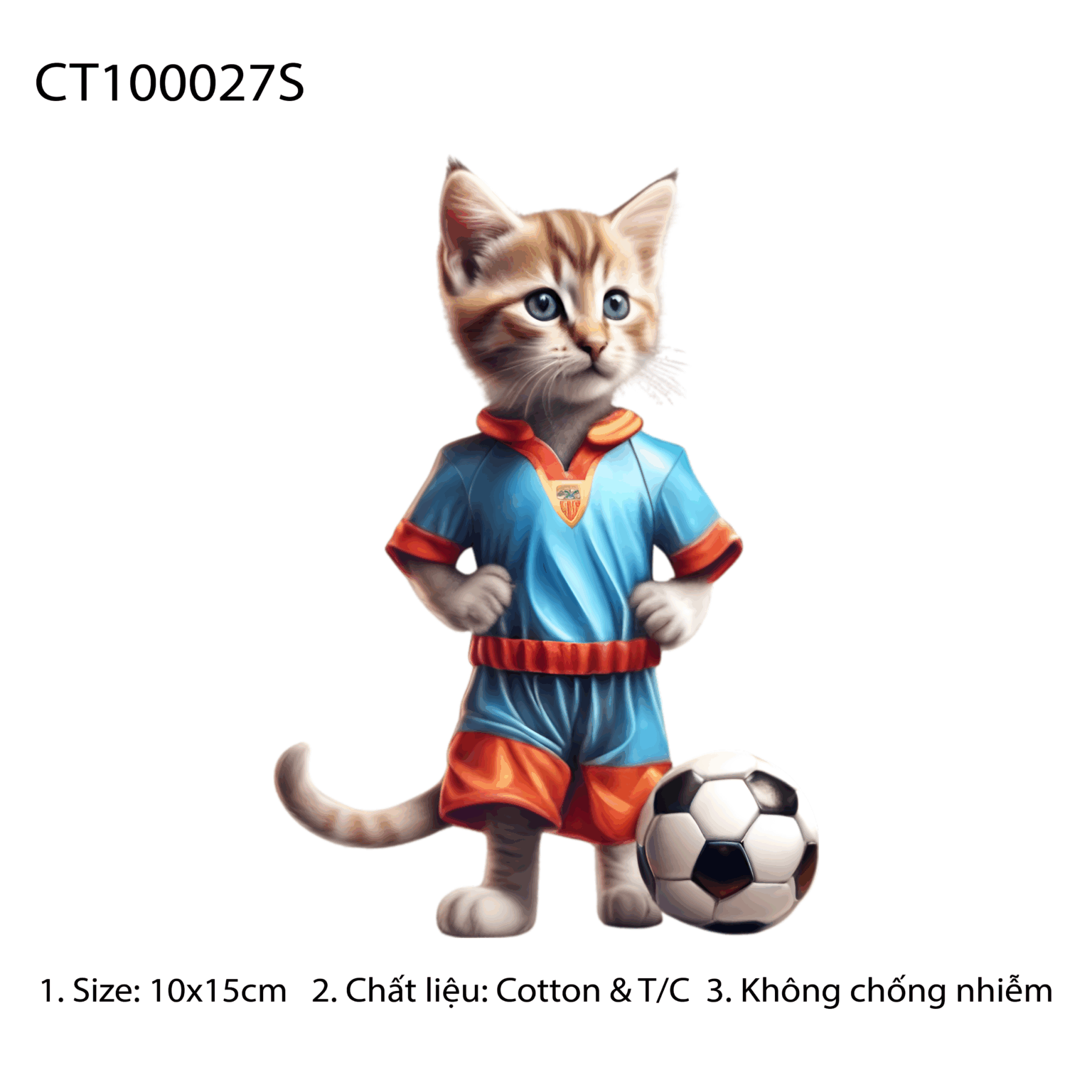CT100027S