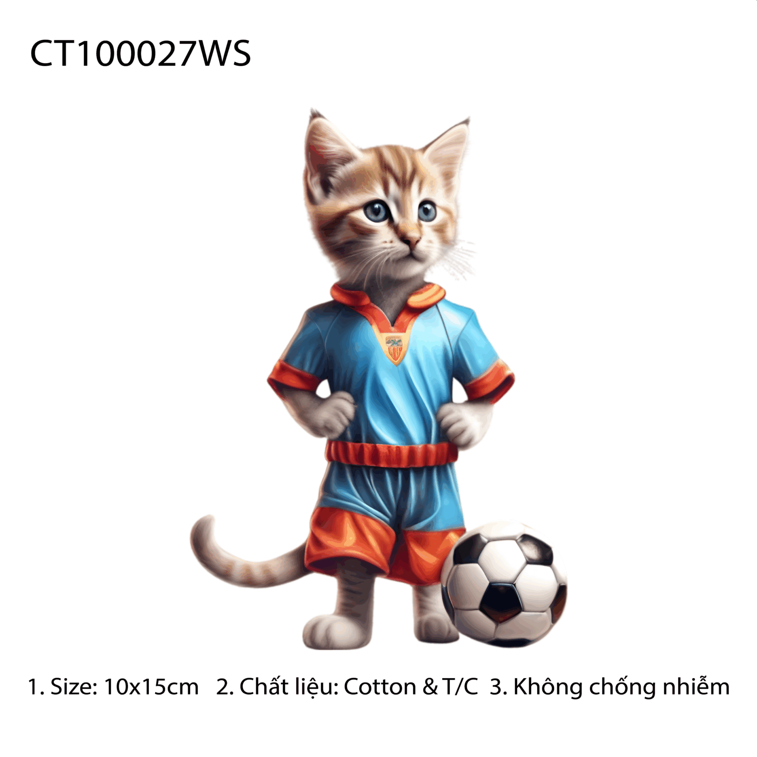 CT100027WS