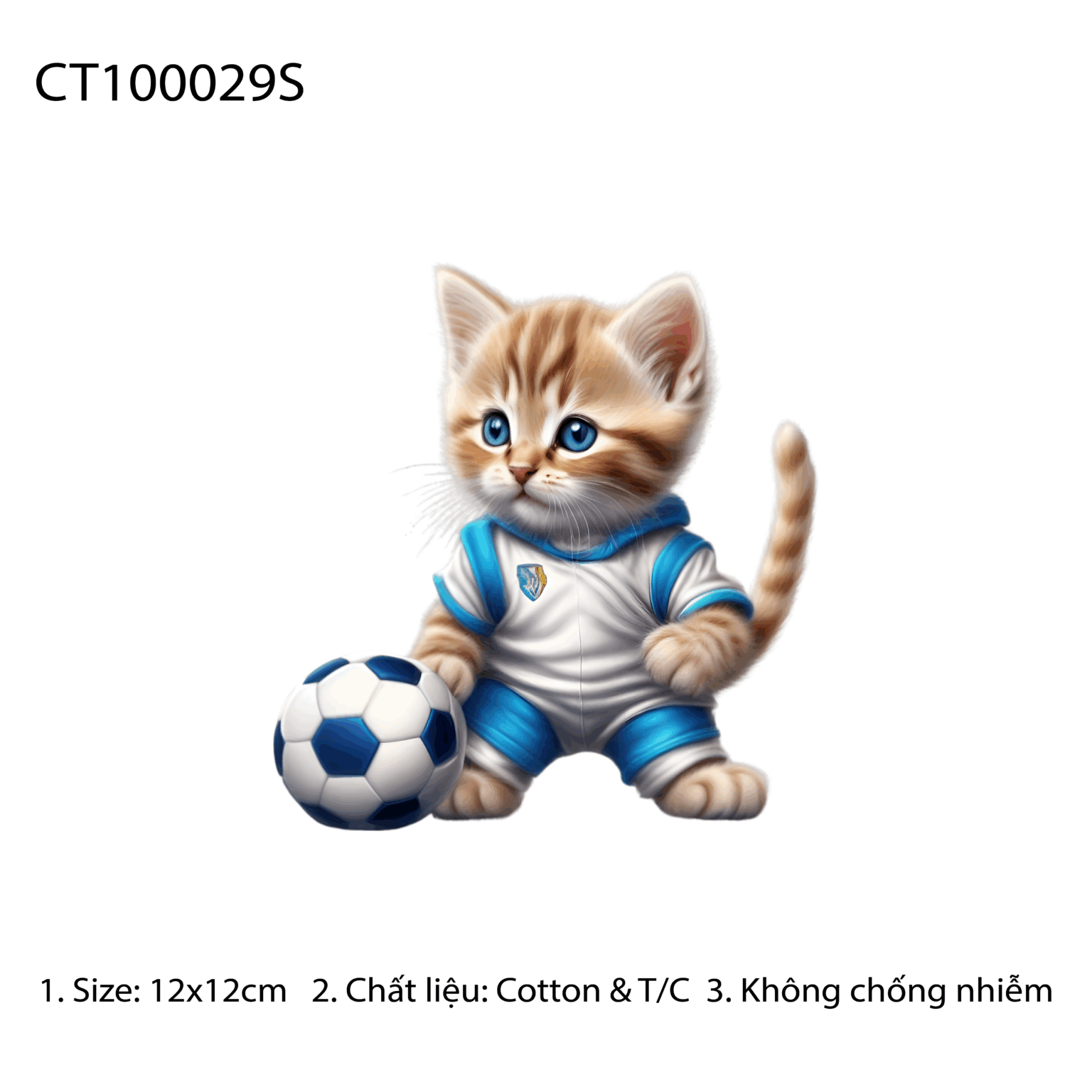 CT100029S