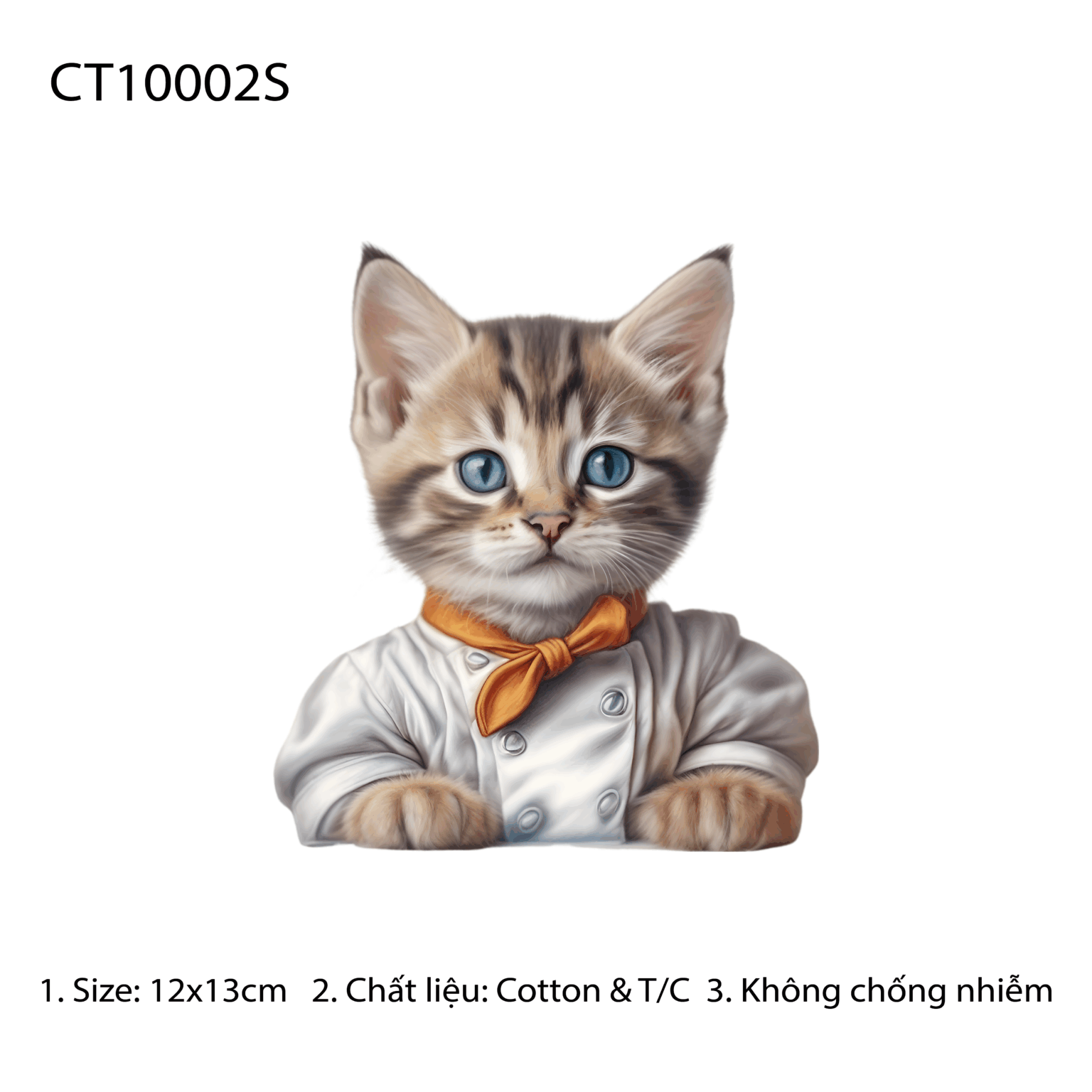CT10002S