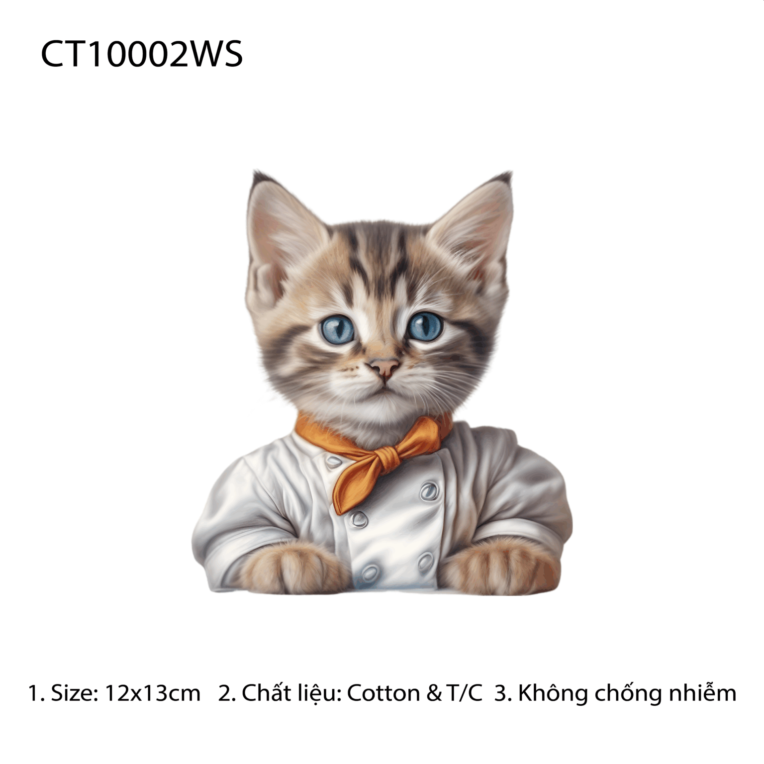 CT10002WS