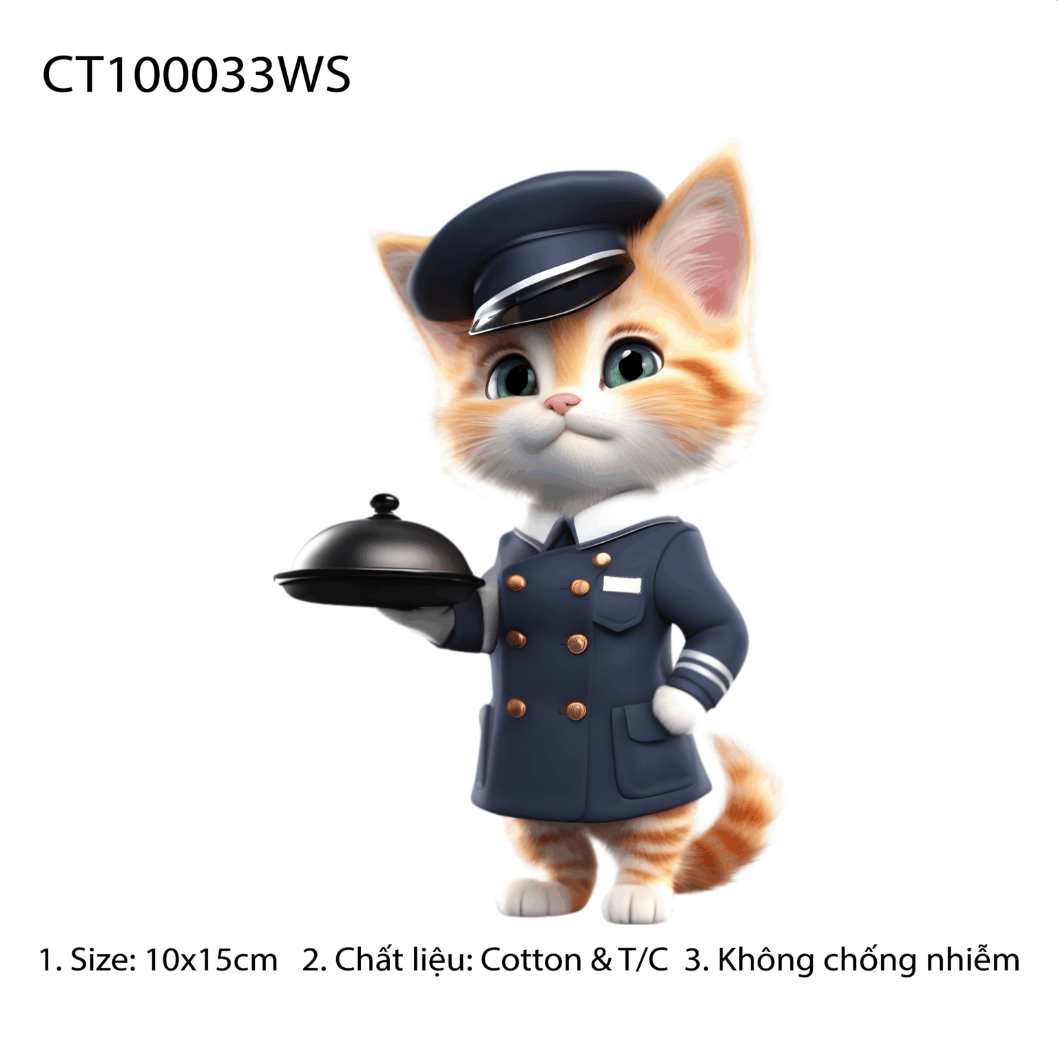 CT100033WS