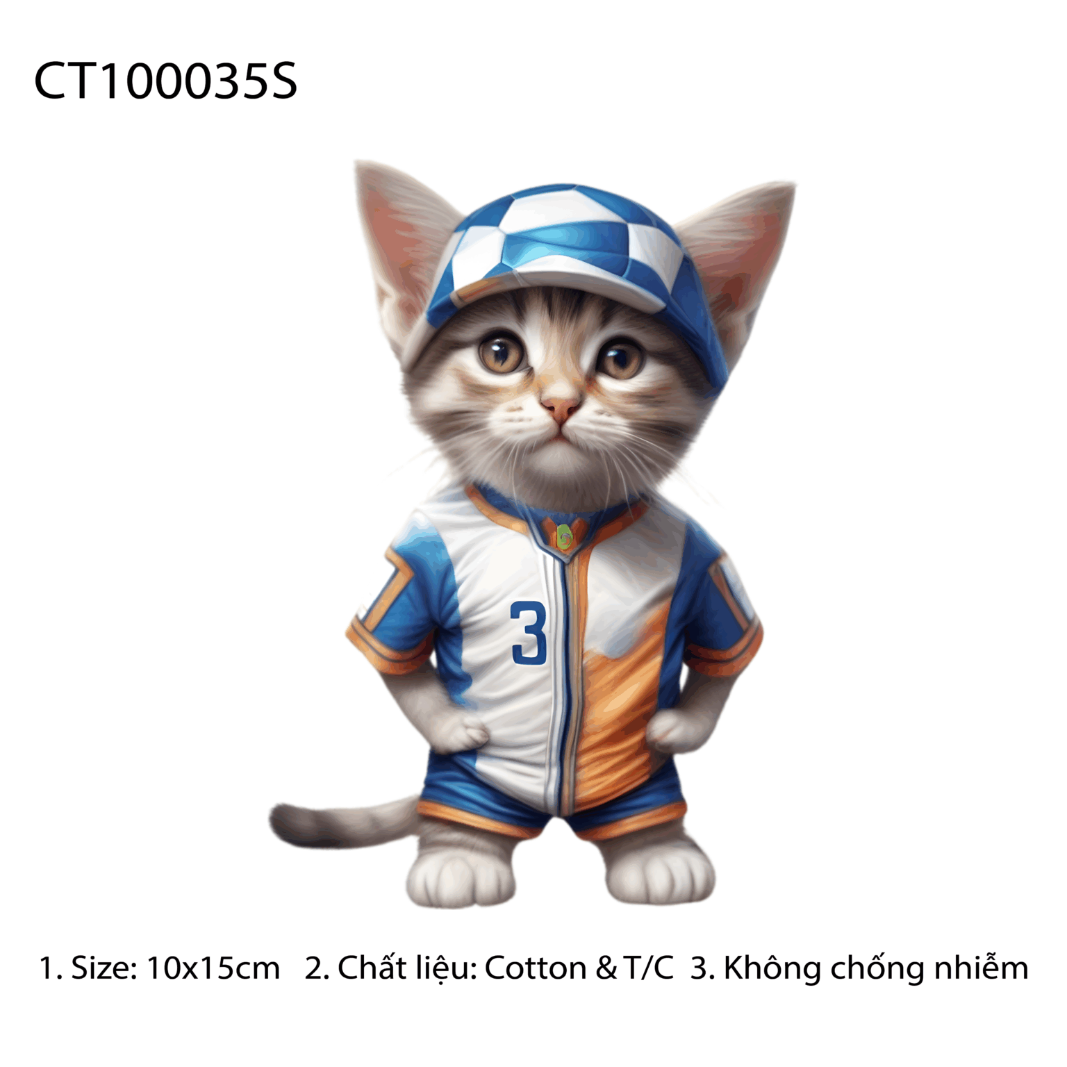 CT100035S