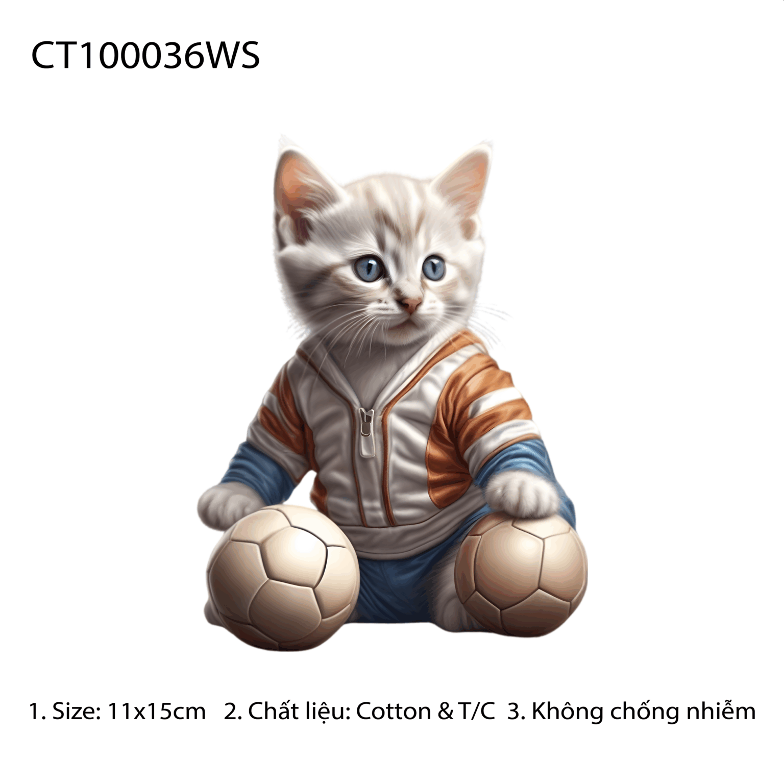 CT100036WS
