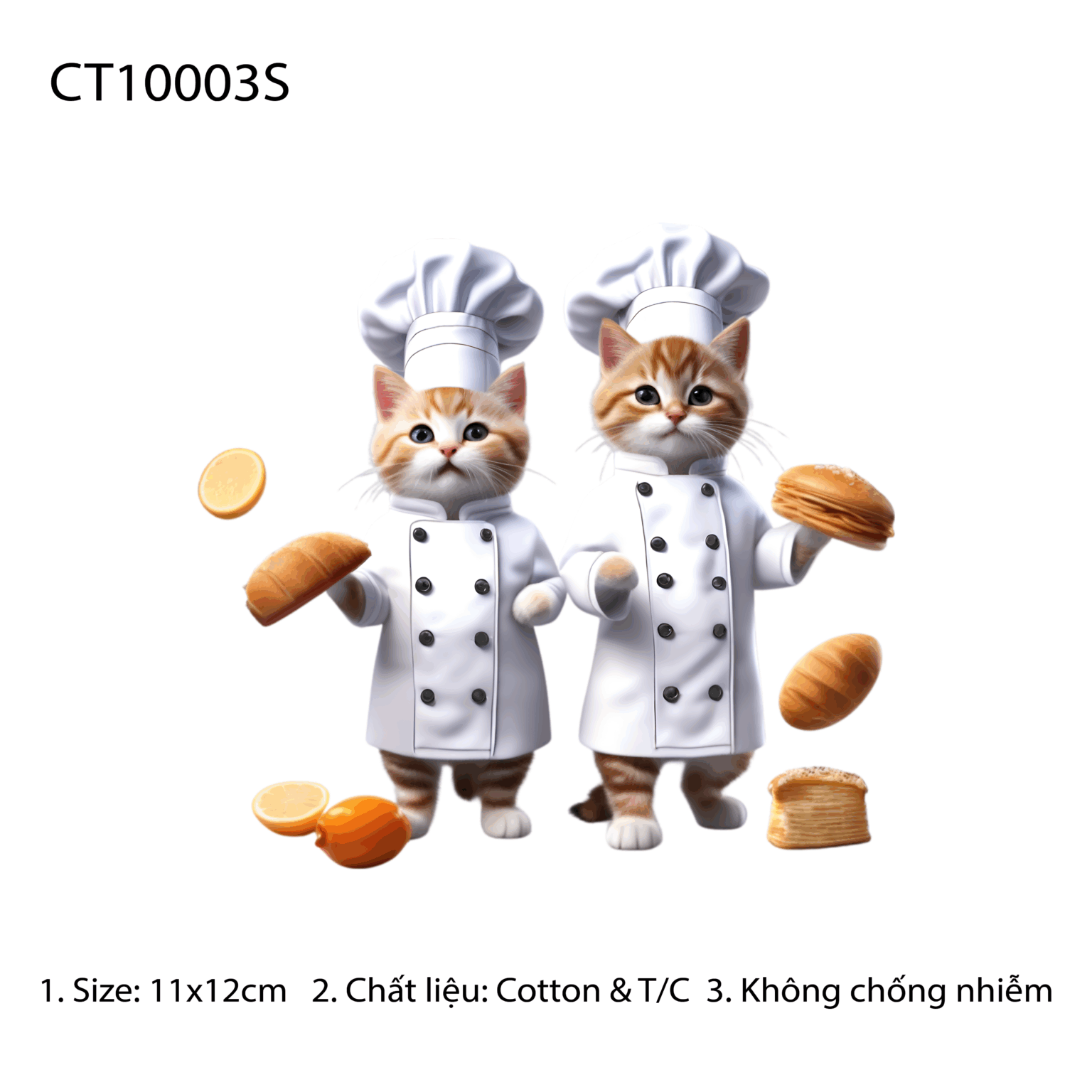 CT10003S
