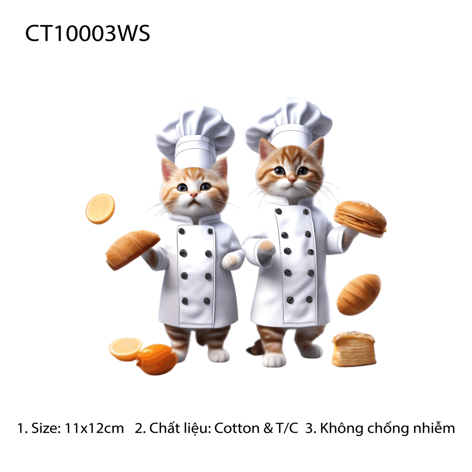 CT10003WS