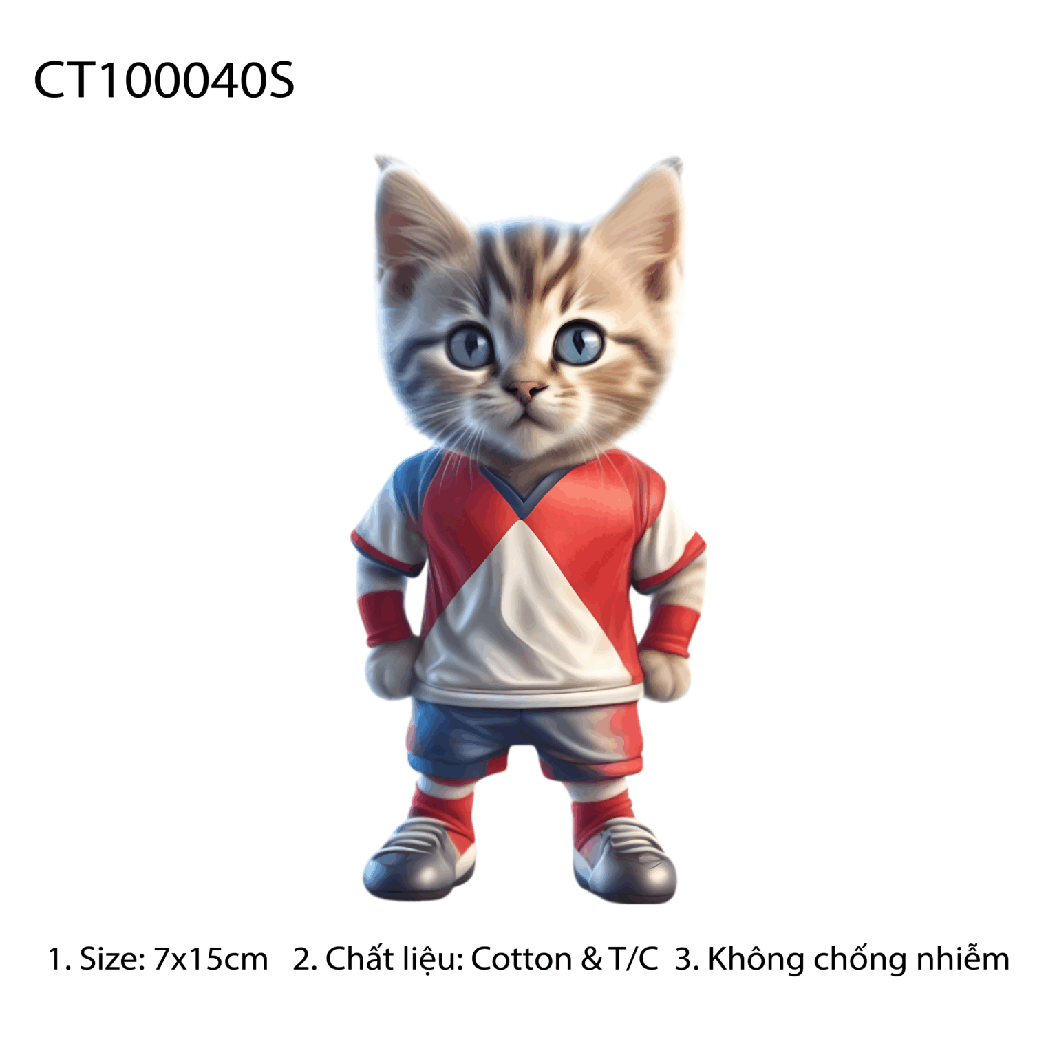 CT100040S