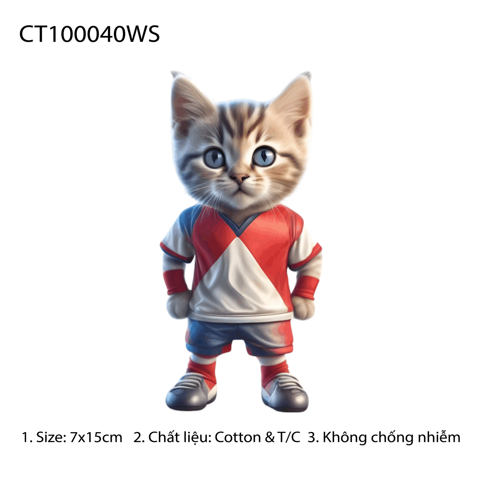 CT100040WS