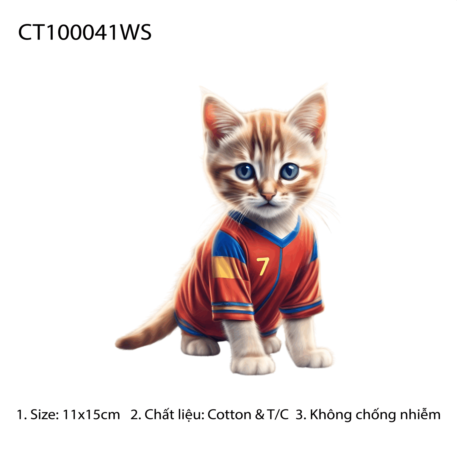 CT100041WS