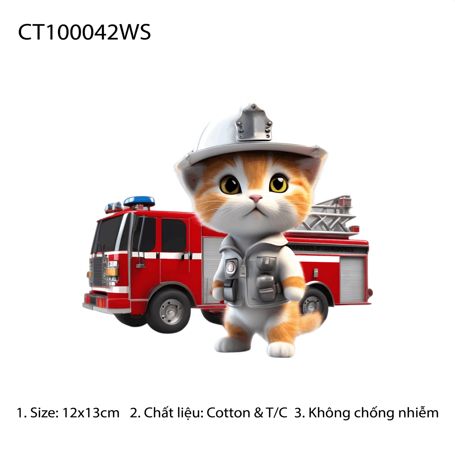 CT100042WS