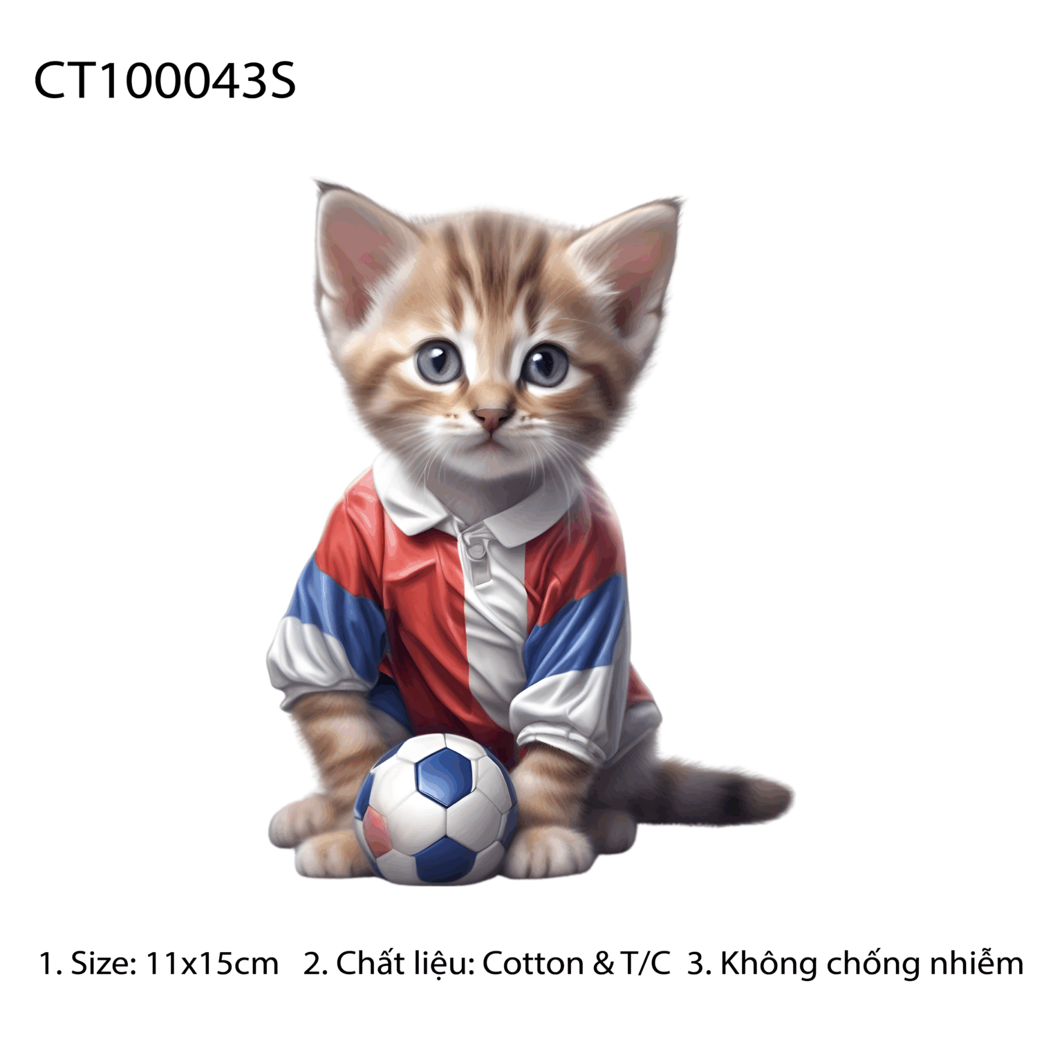 CT100043S