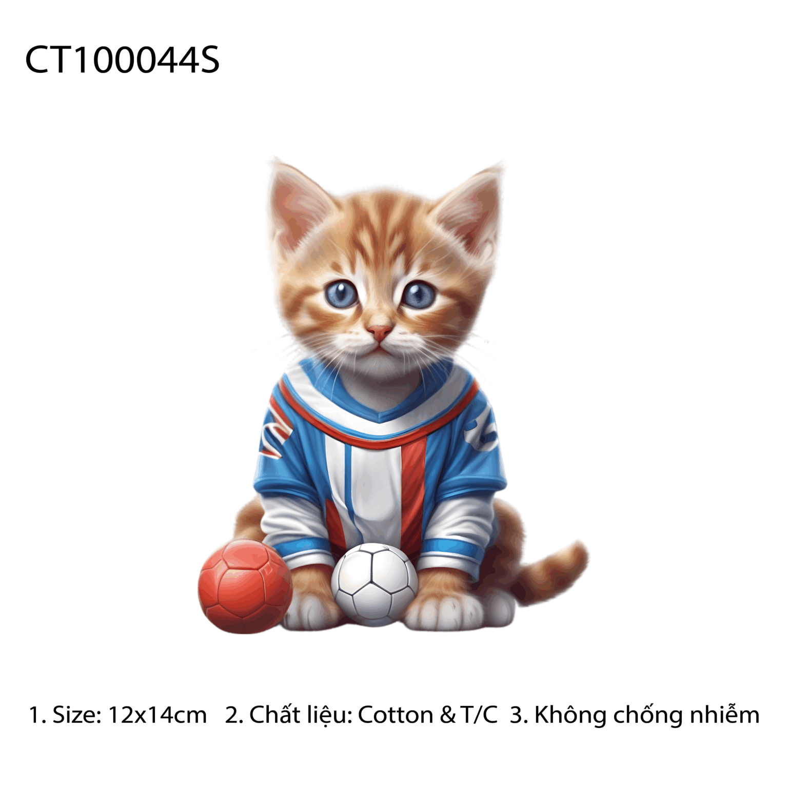 CT100044S