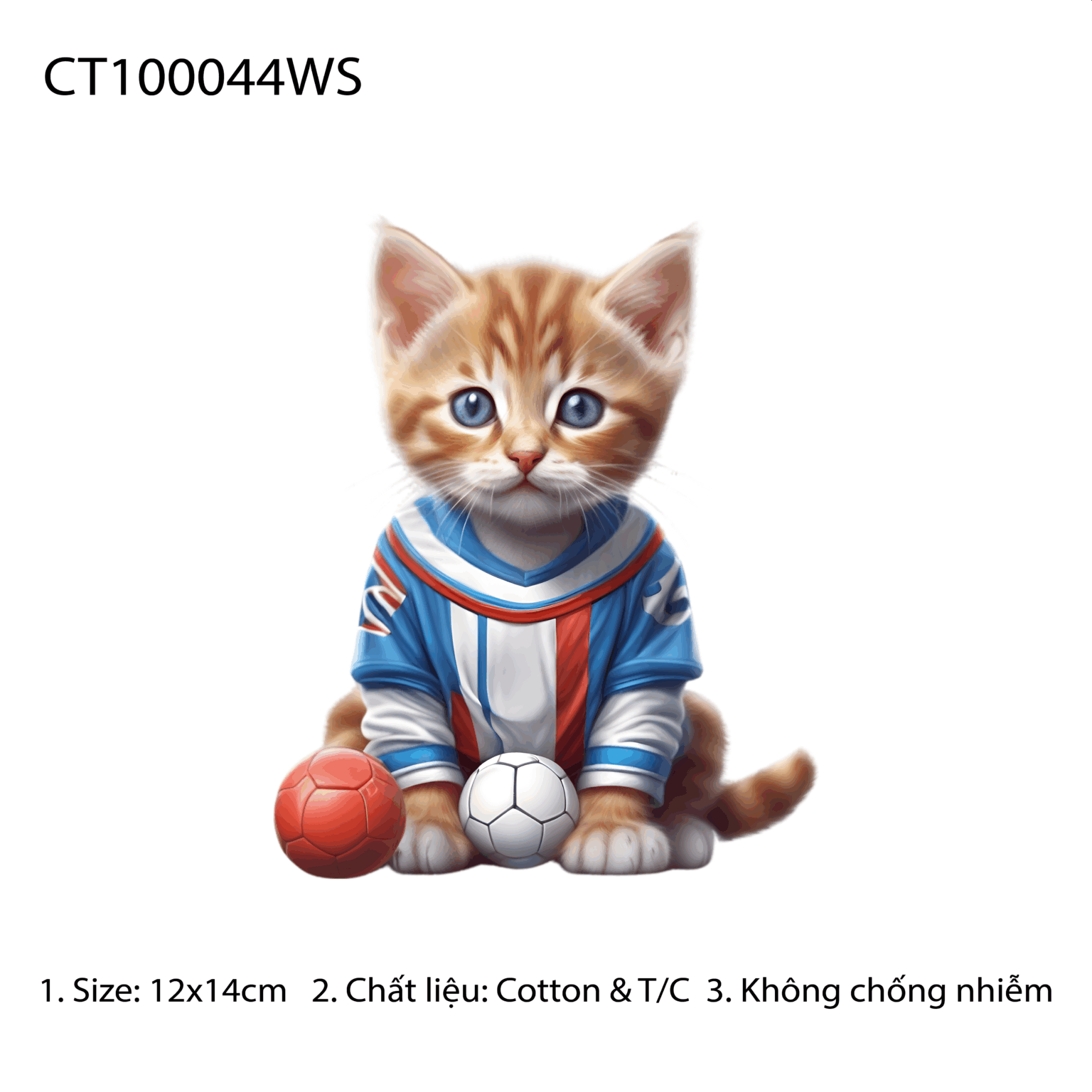 CT100044WS