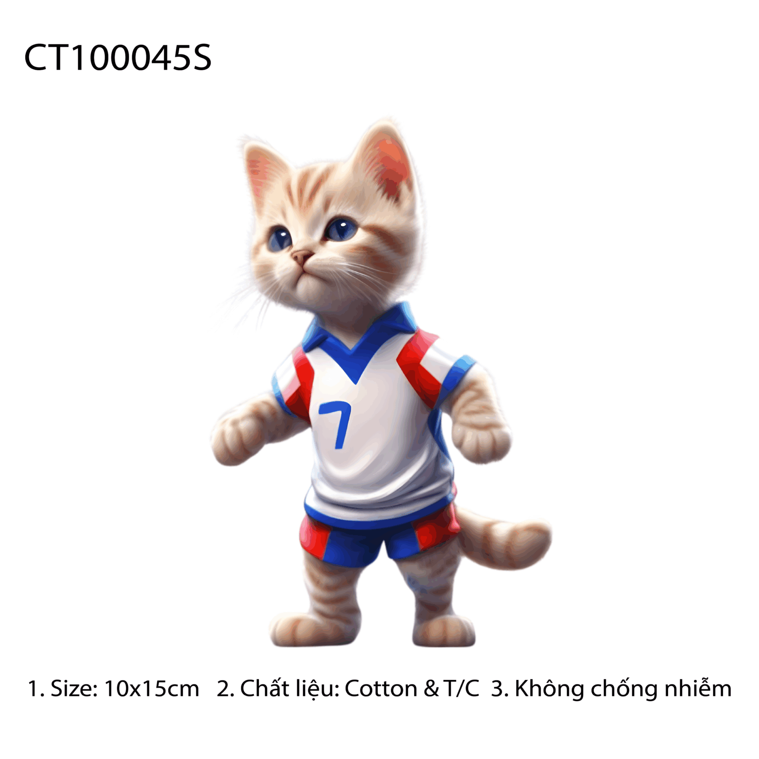 CT100045S