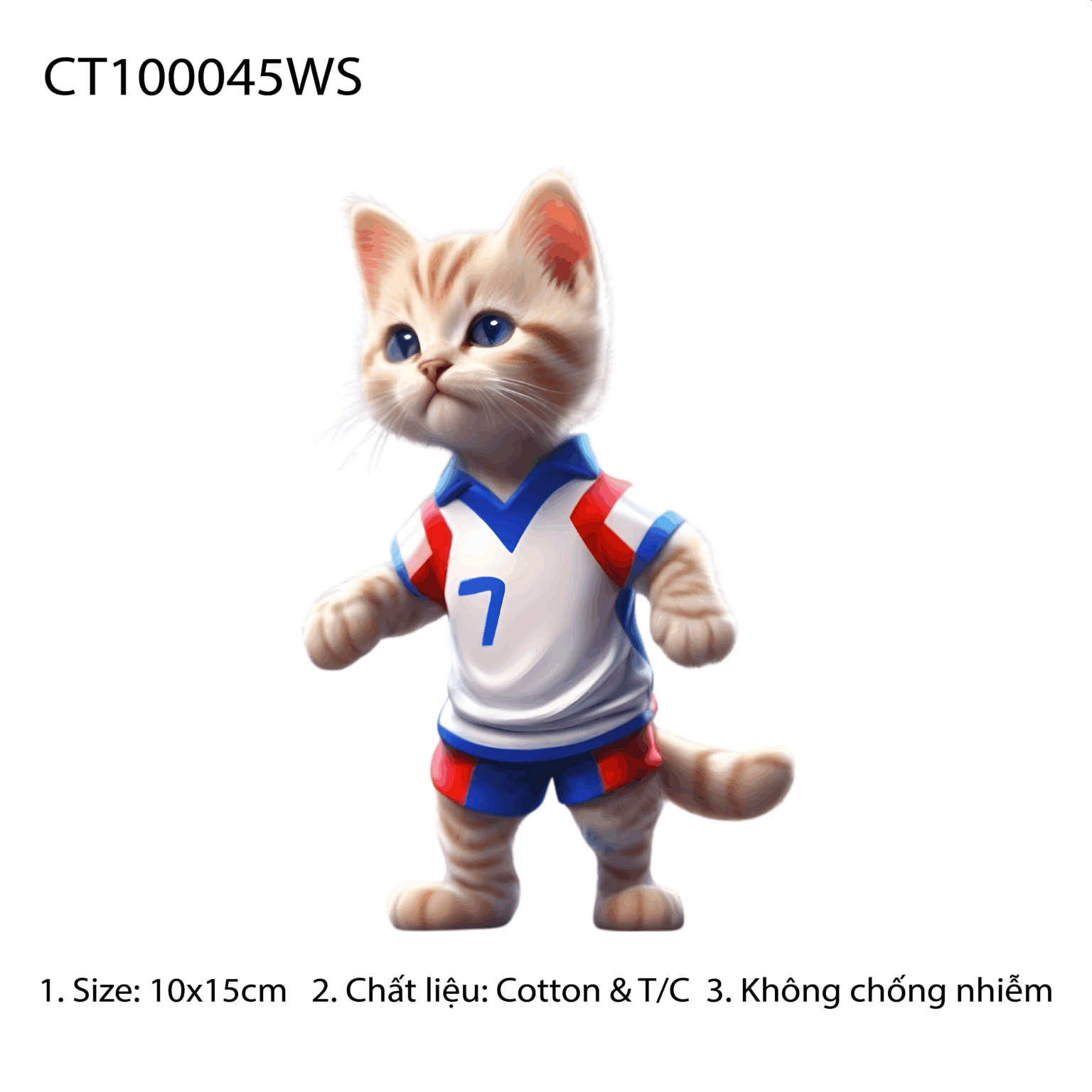 CT100045WS