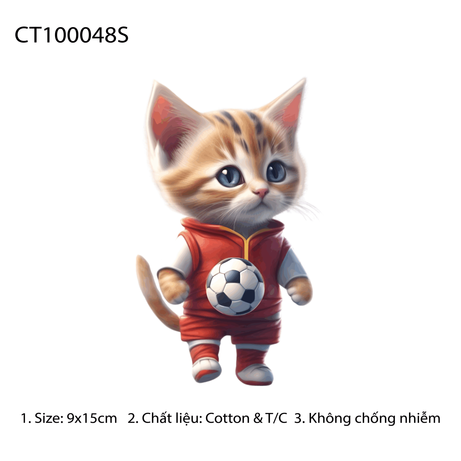 CT100048S