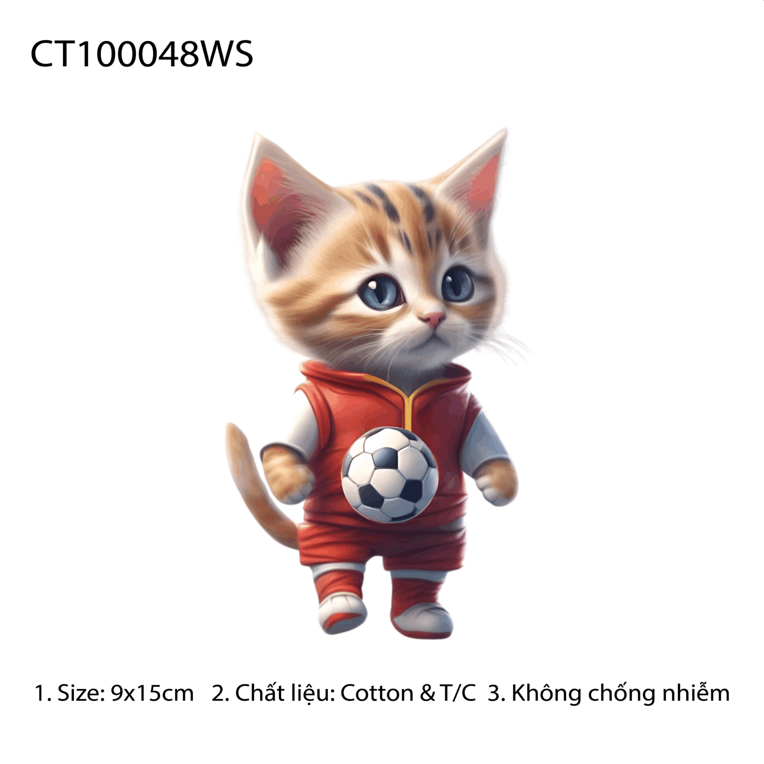 CT100048WS