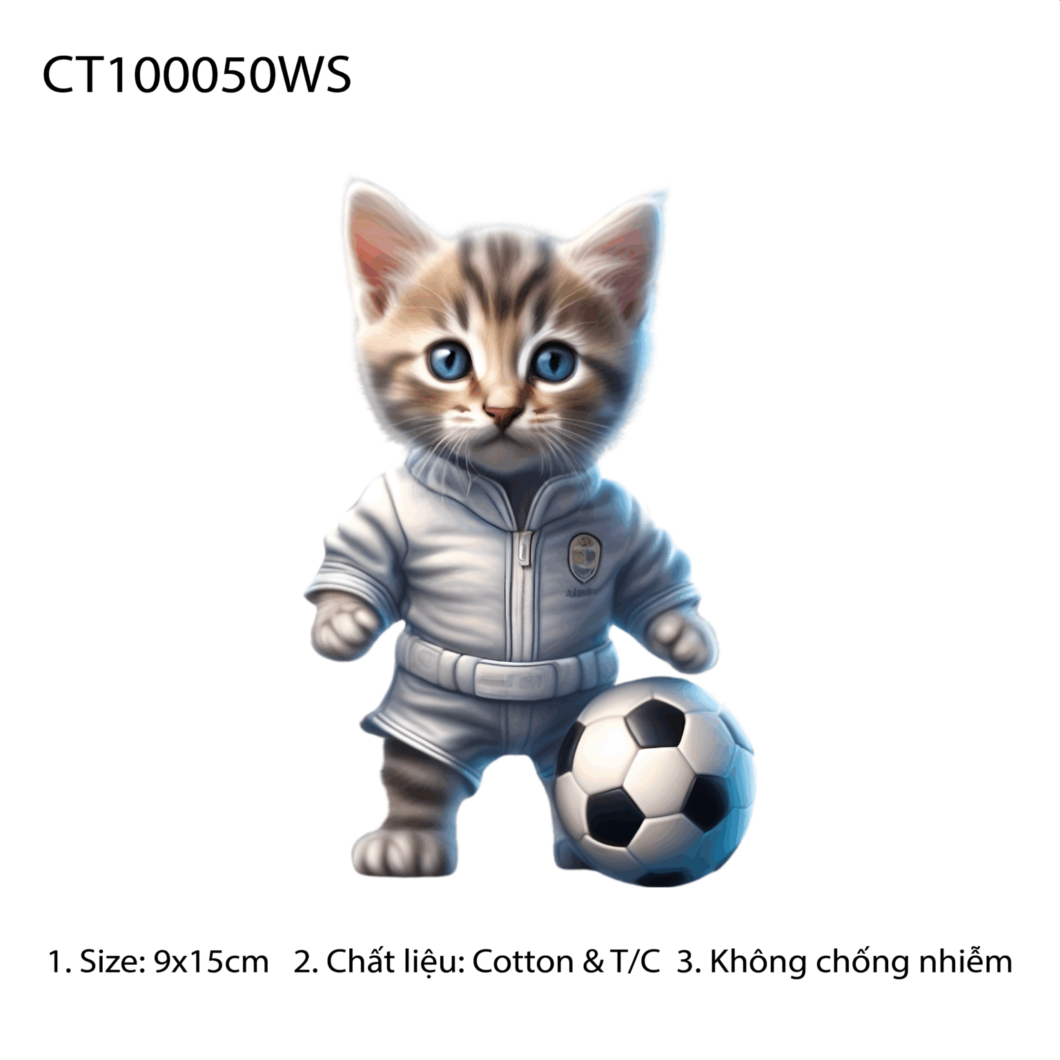 CT100050WS
