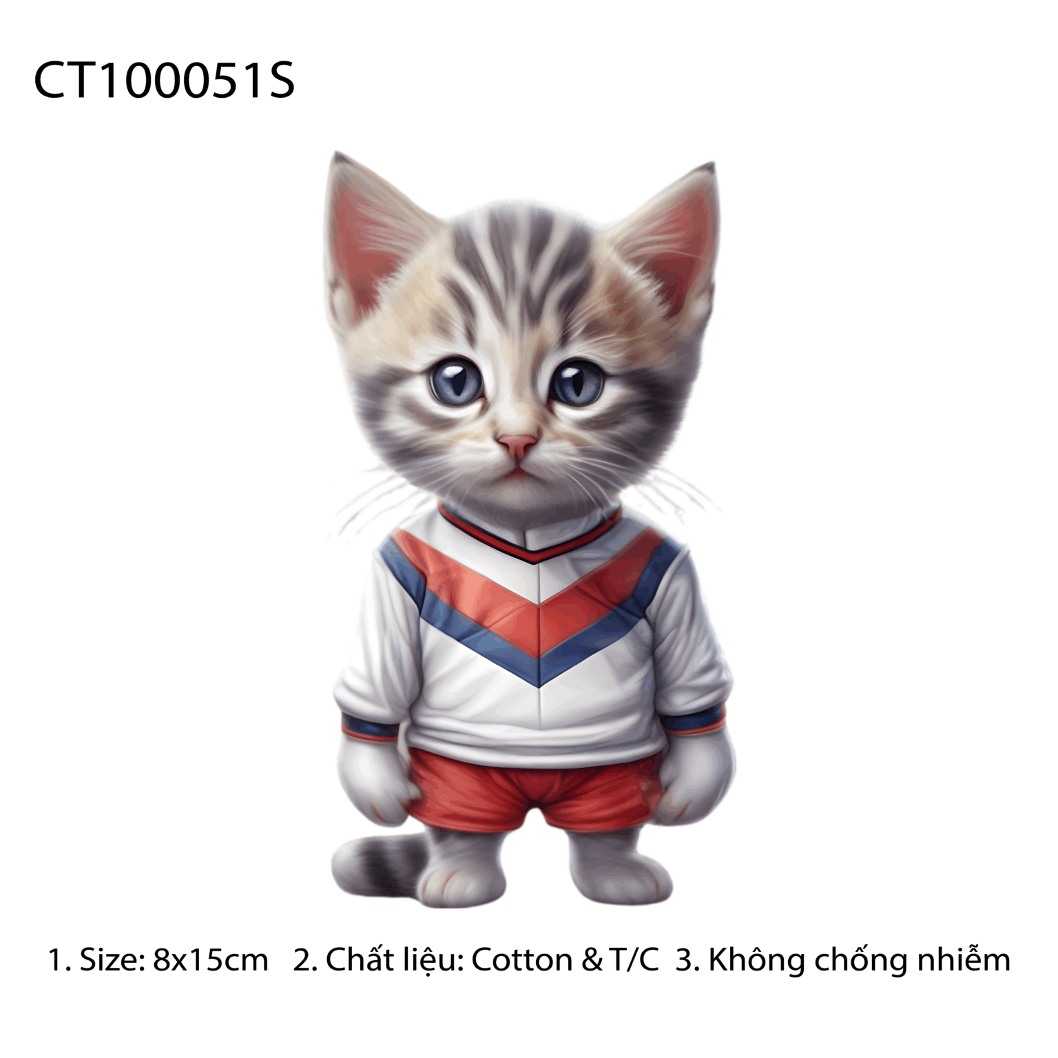 CT100051S