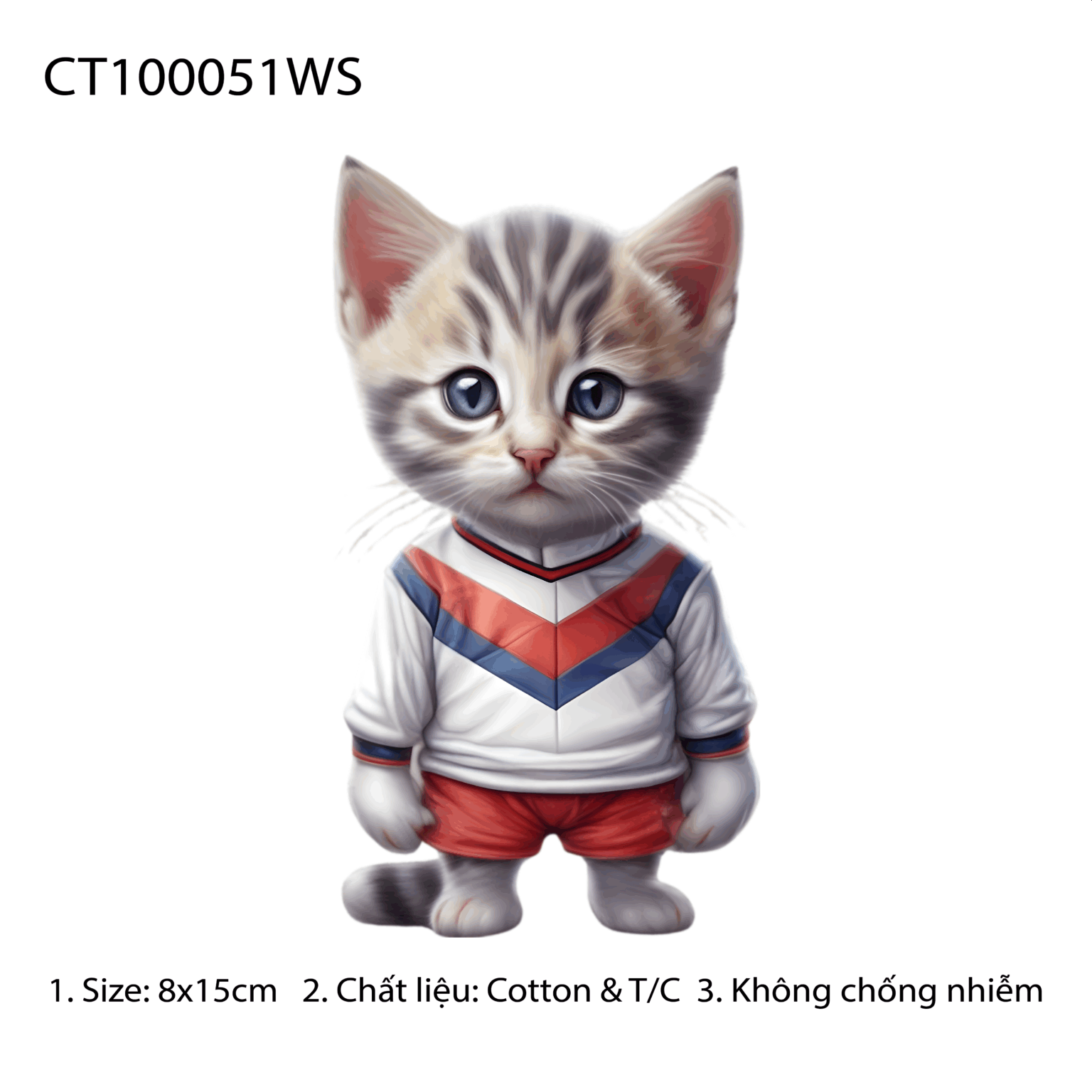 CT100051WS
