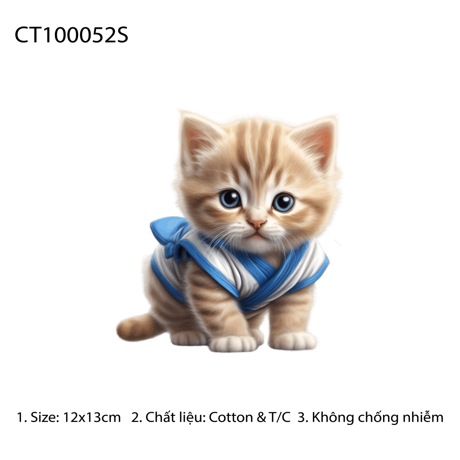 CT100052S
