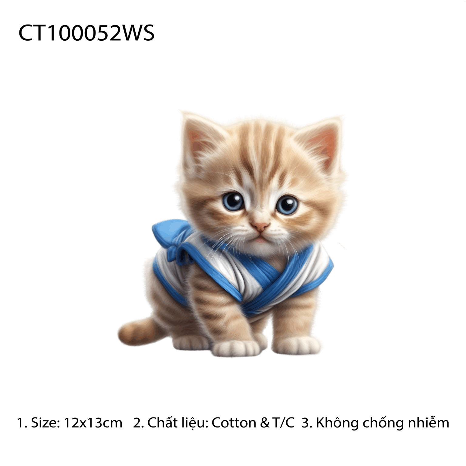 CT100052WS