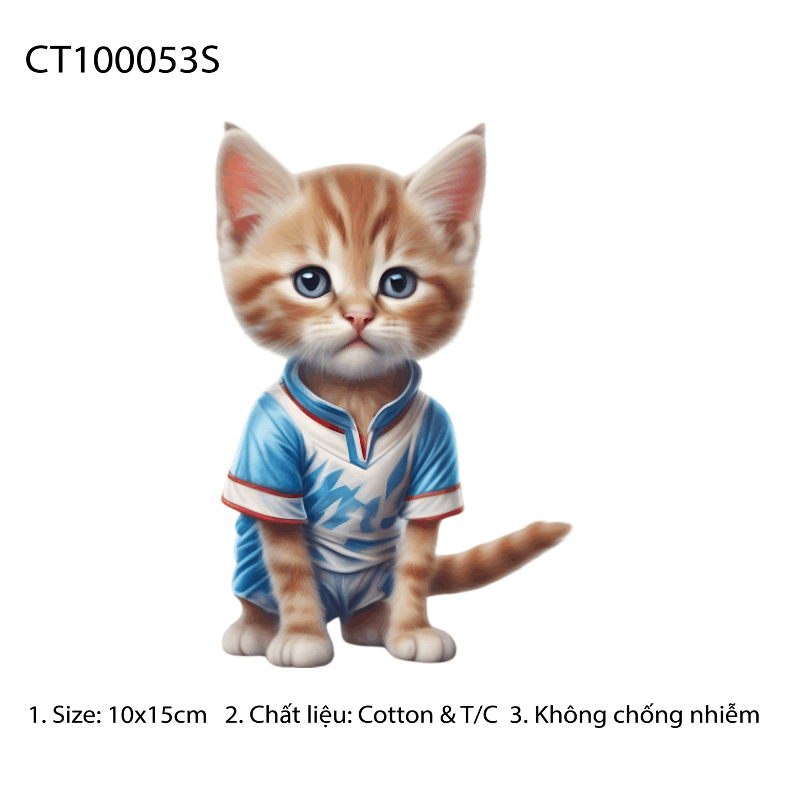 CT100053S