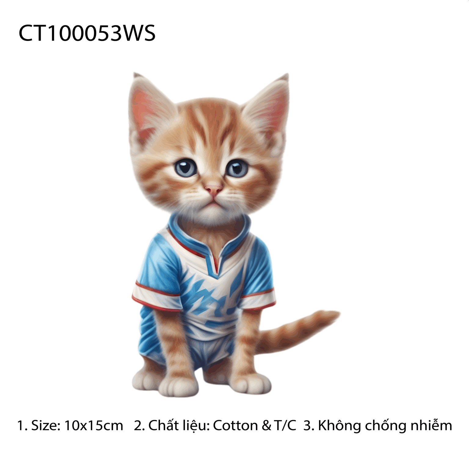 CT100053WS