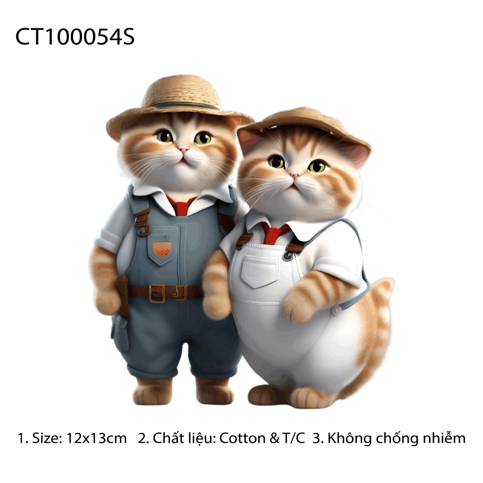 CT100054S