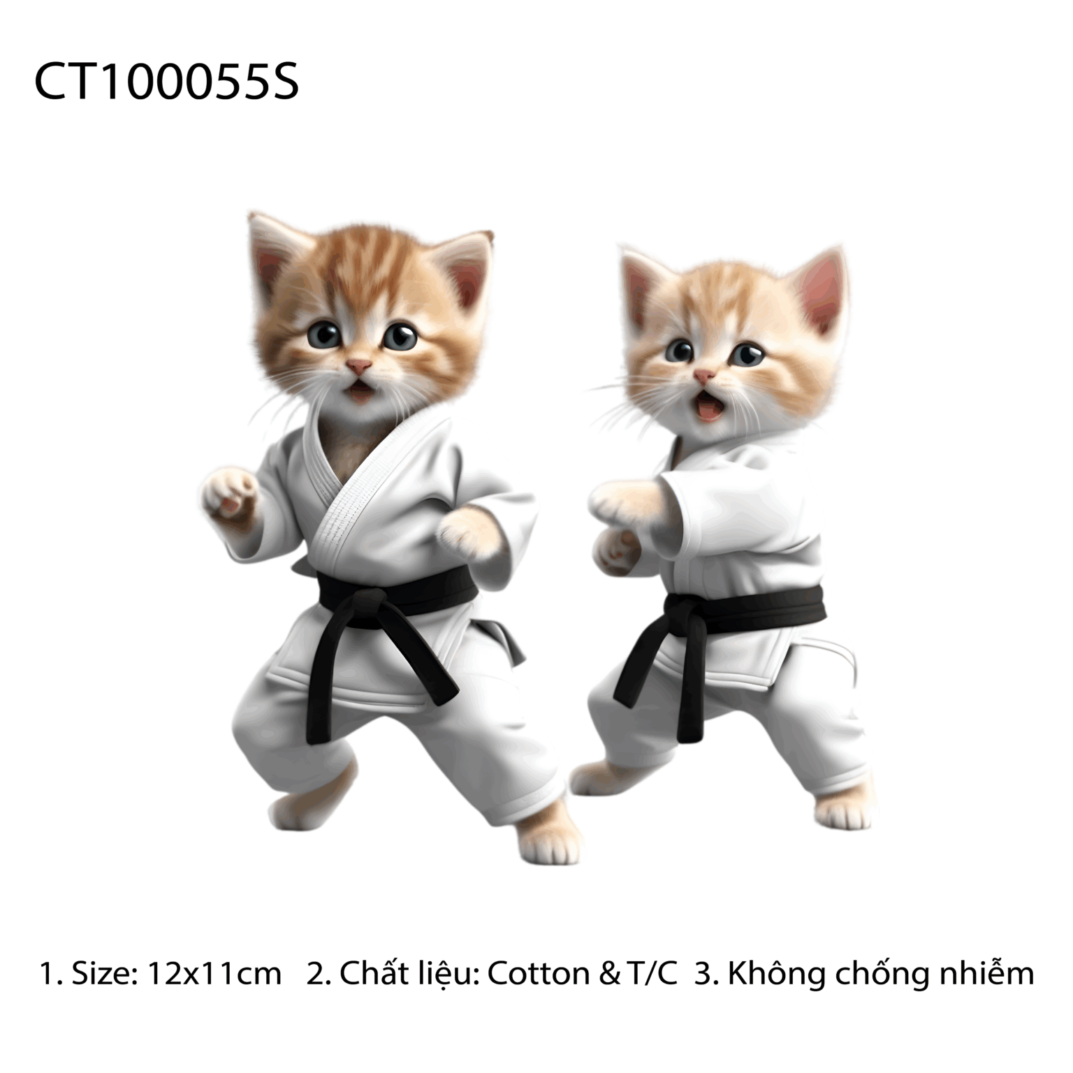 CT100055S