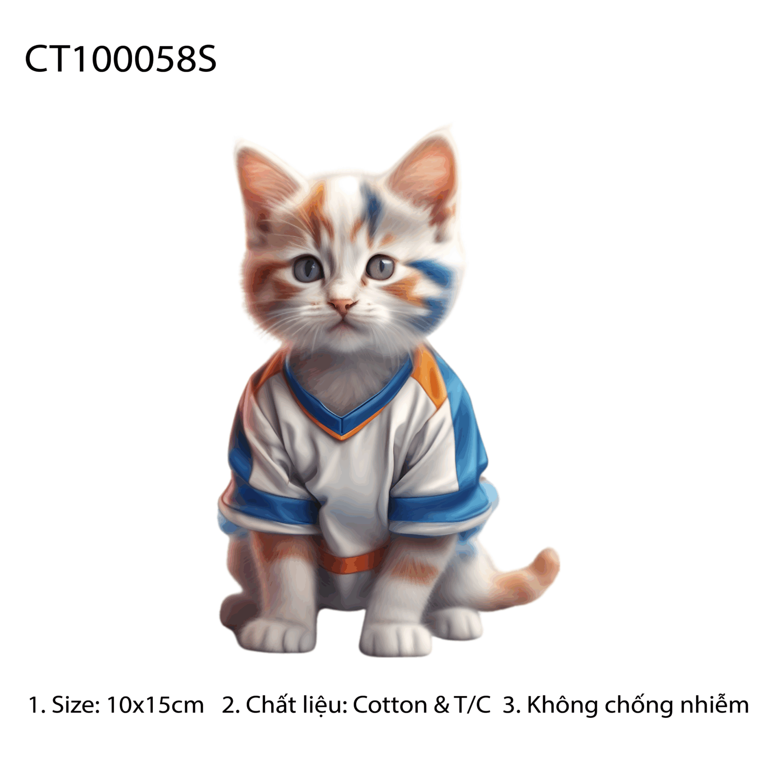 CT100058S
