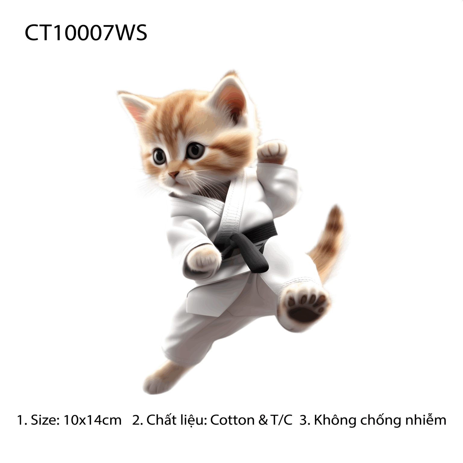 CT10007WS