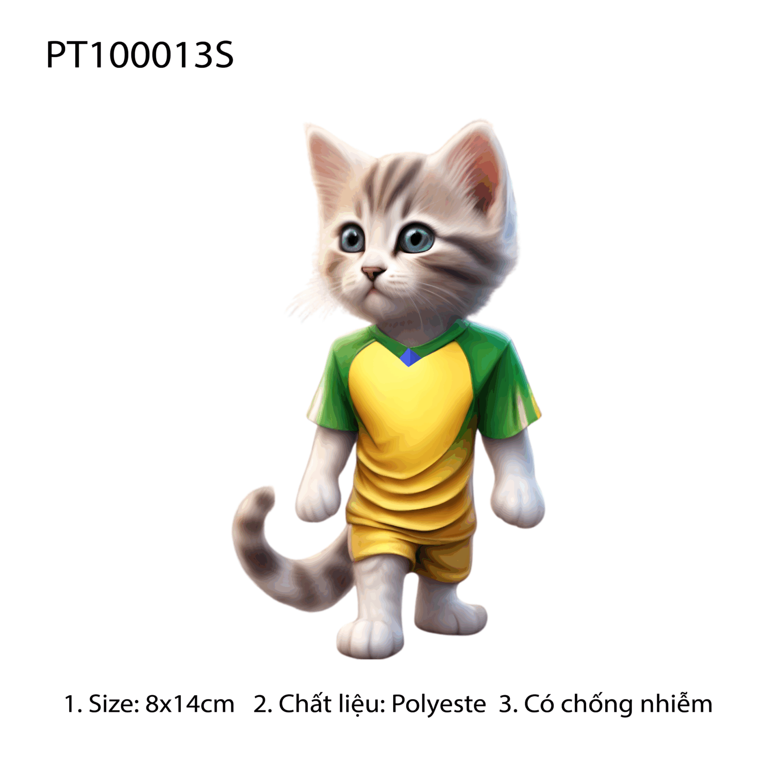 PT100013S