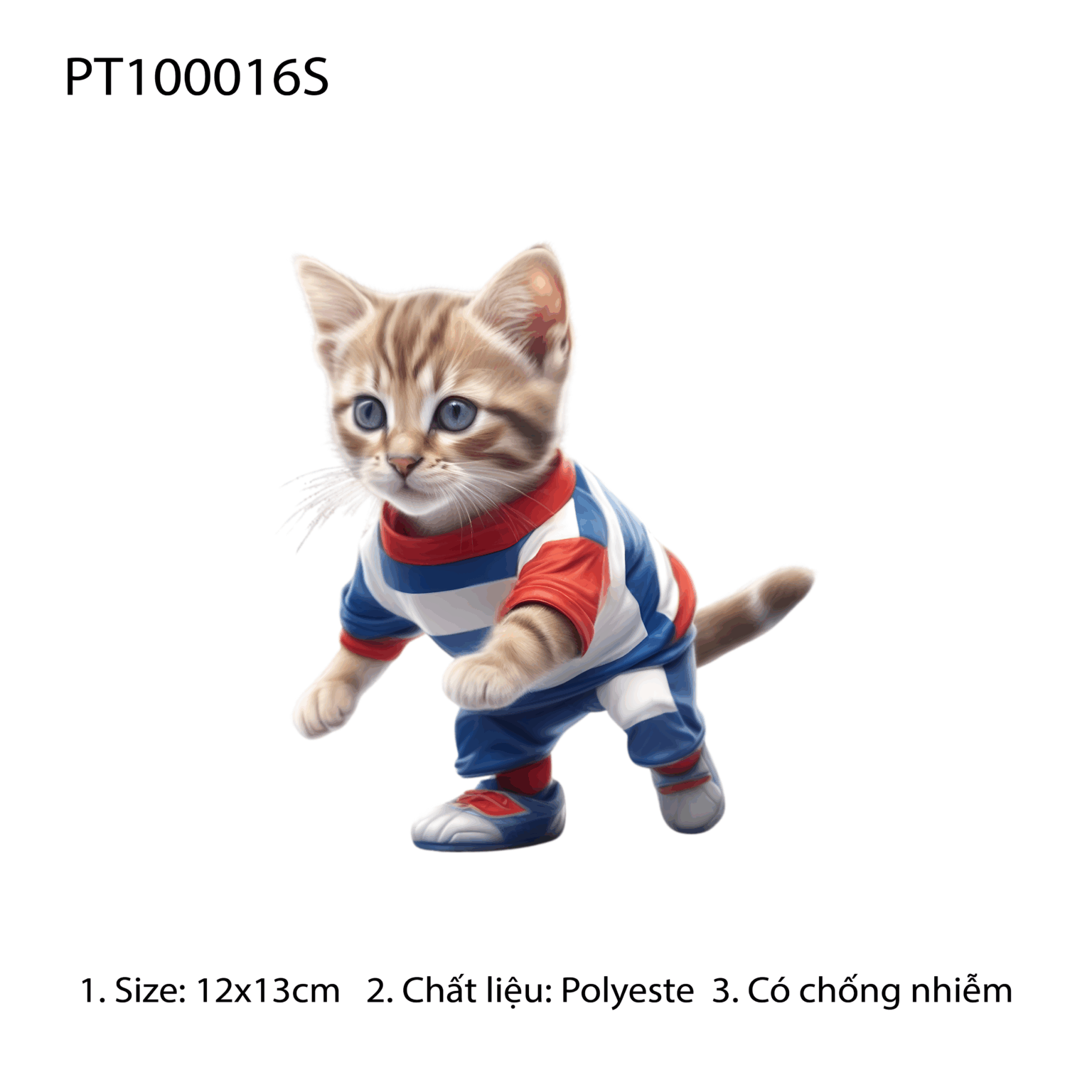 PT100016S